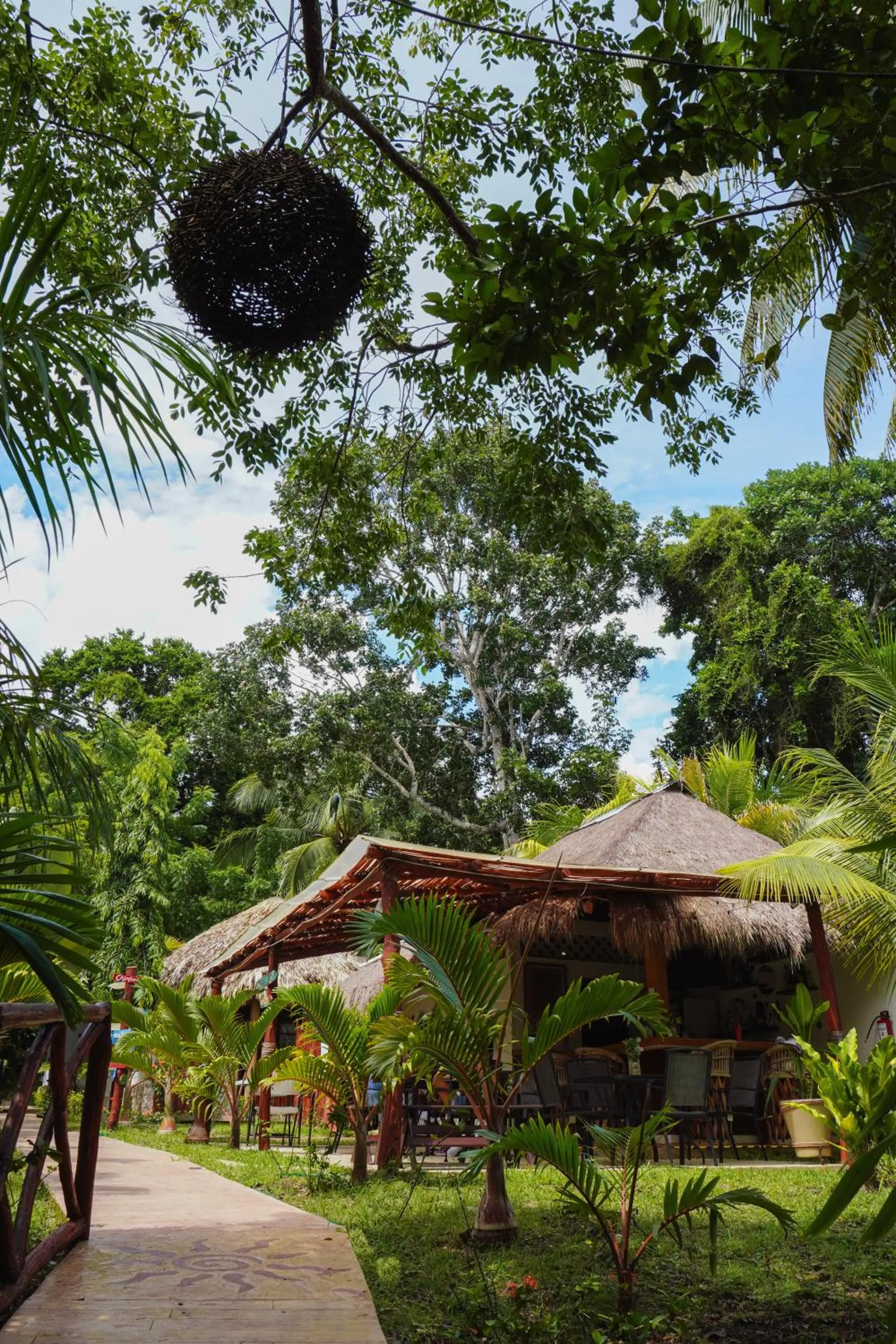 Restaurant/places to eat in Aurea Bacalar