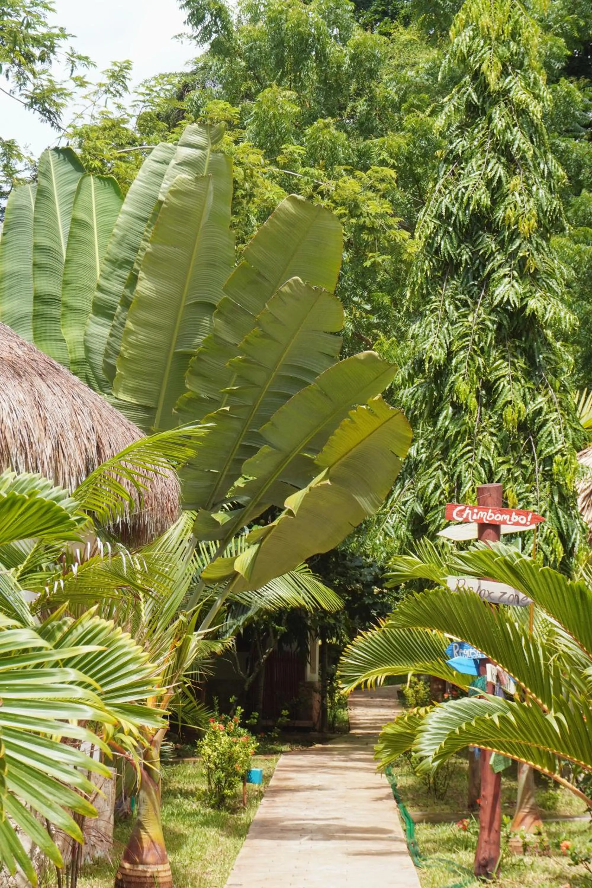 Day in Aurea Bacalar