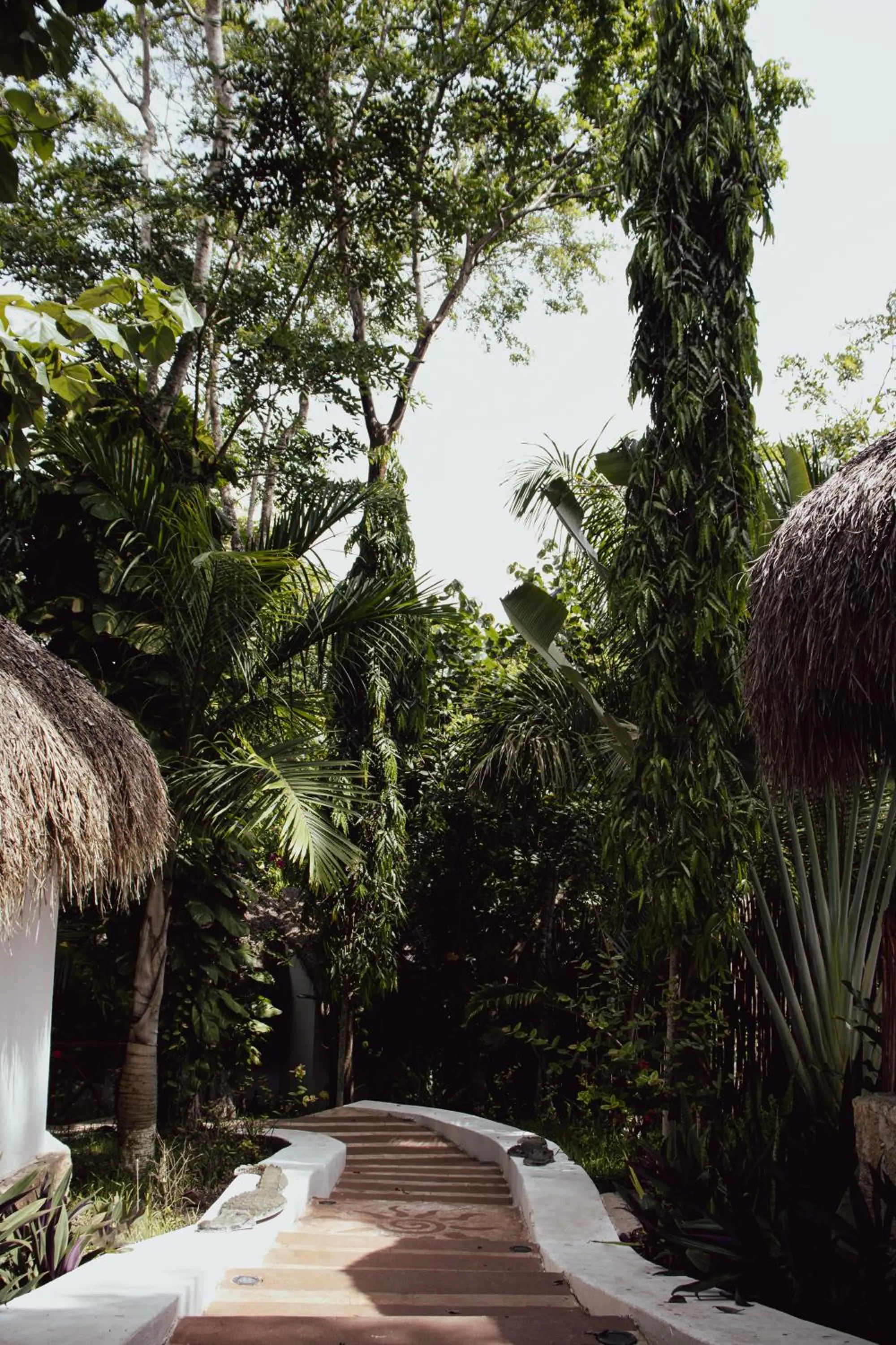 Day in Aurea Bacalar