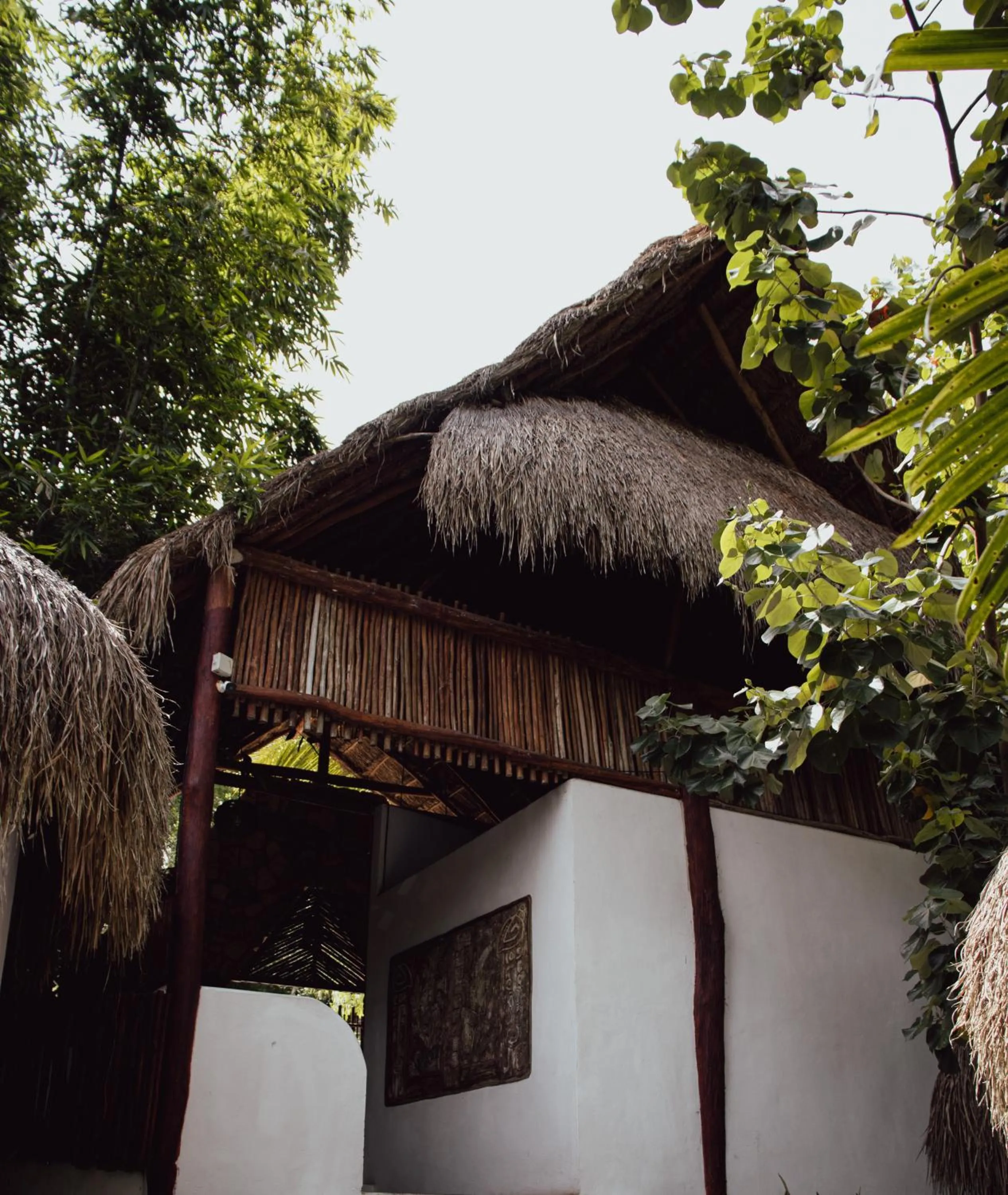 Natural landscape in Aurea Bacalar