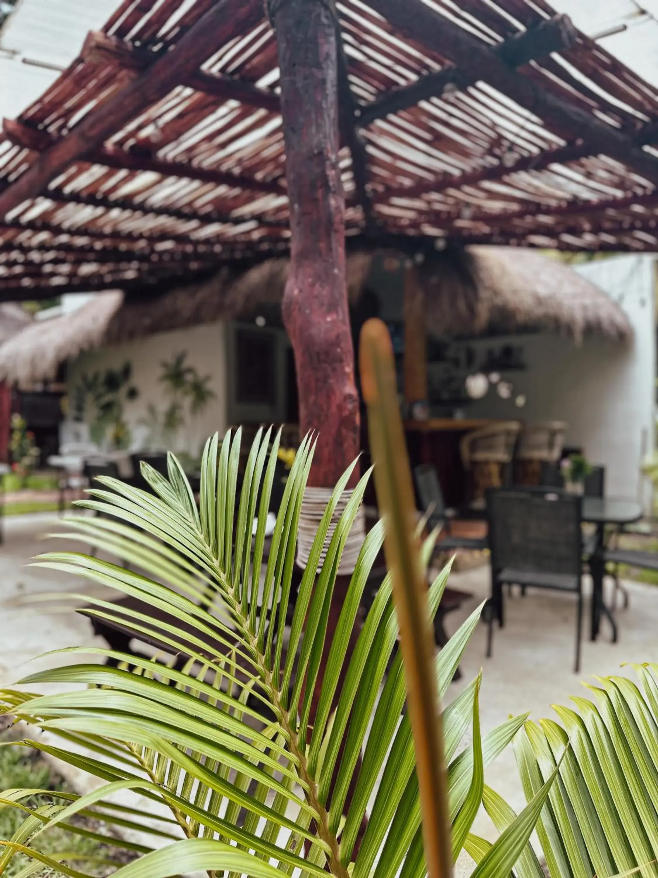Restaurant/places to eat in Aurea Bacalar Restaurant/places to eat in Aurea Bacalar