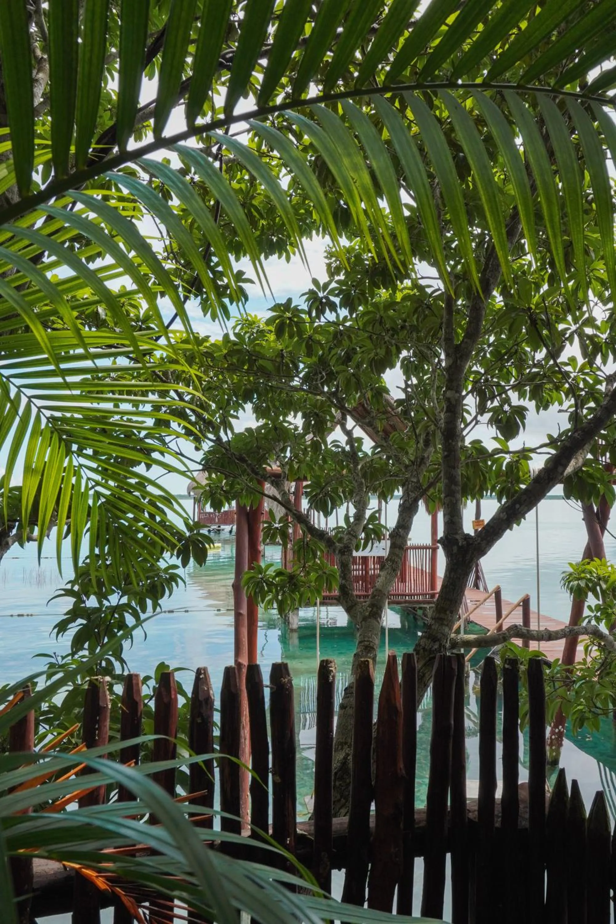 Day in Aurea Bacalar