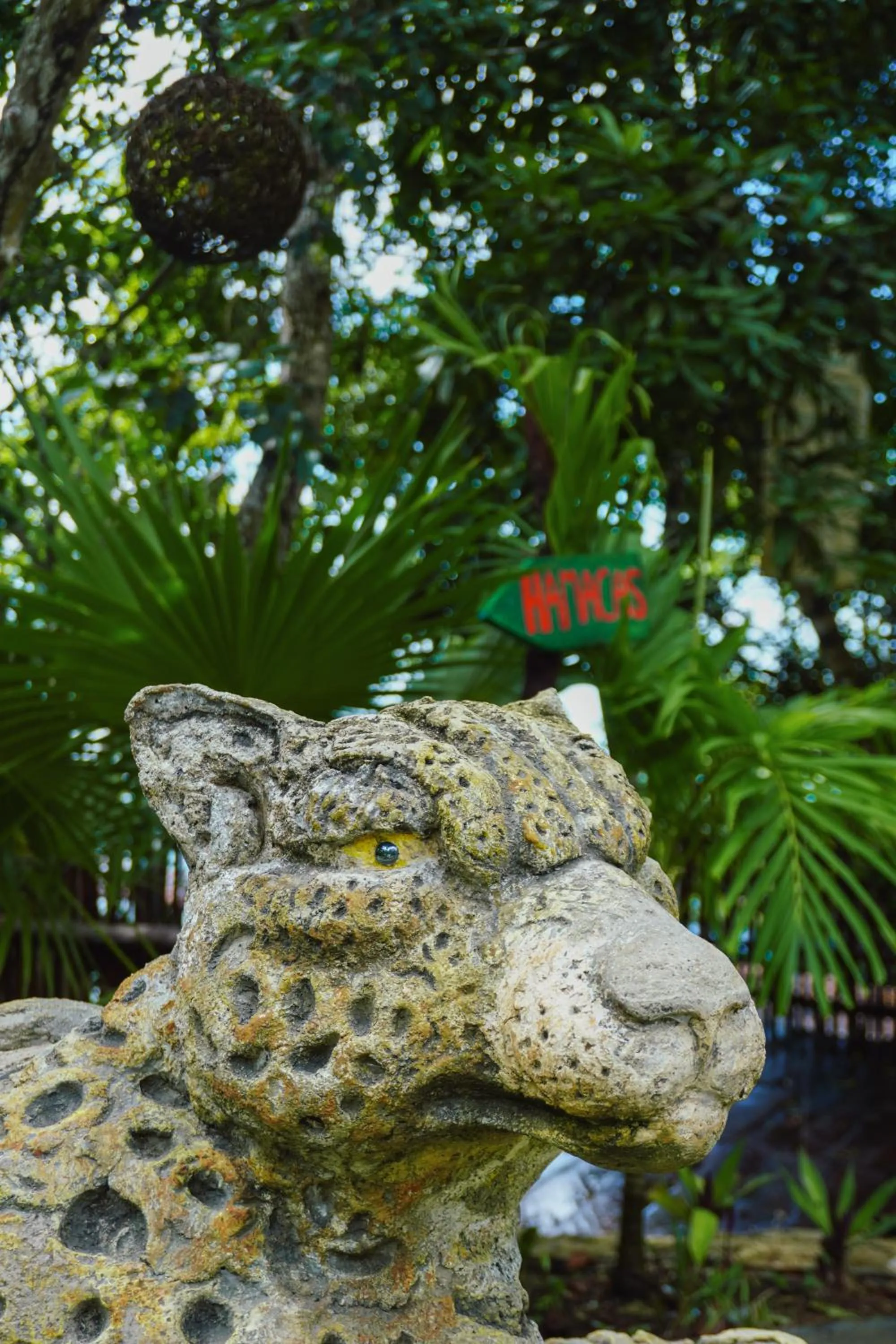 Natural landscape in Aurea Bacalar