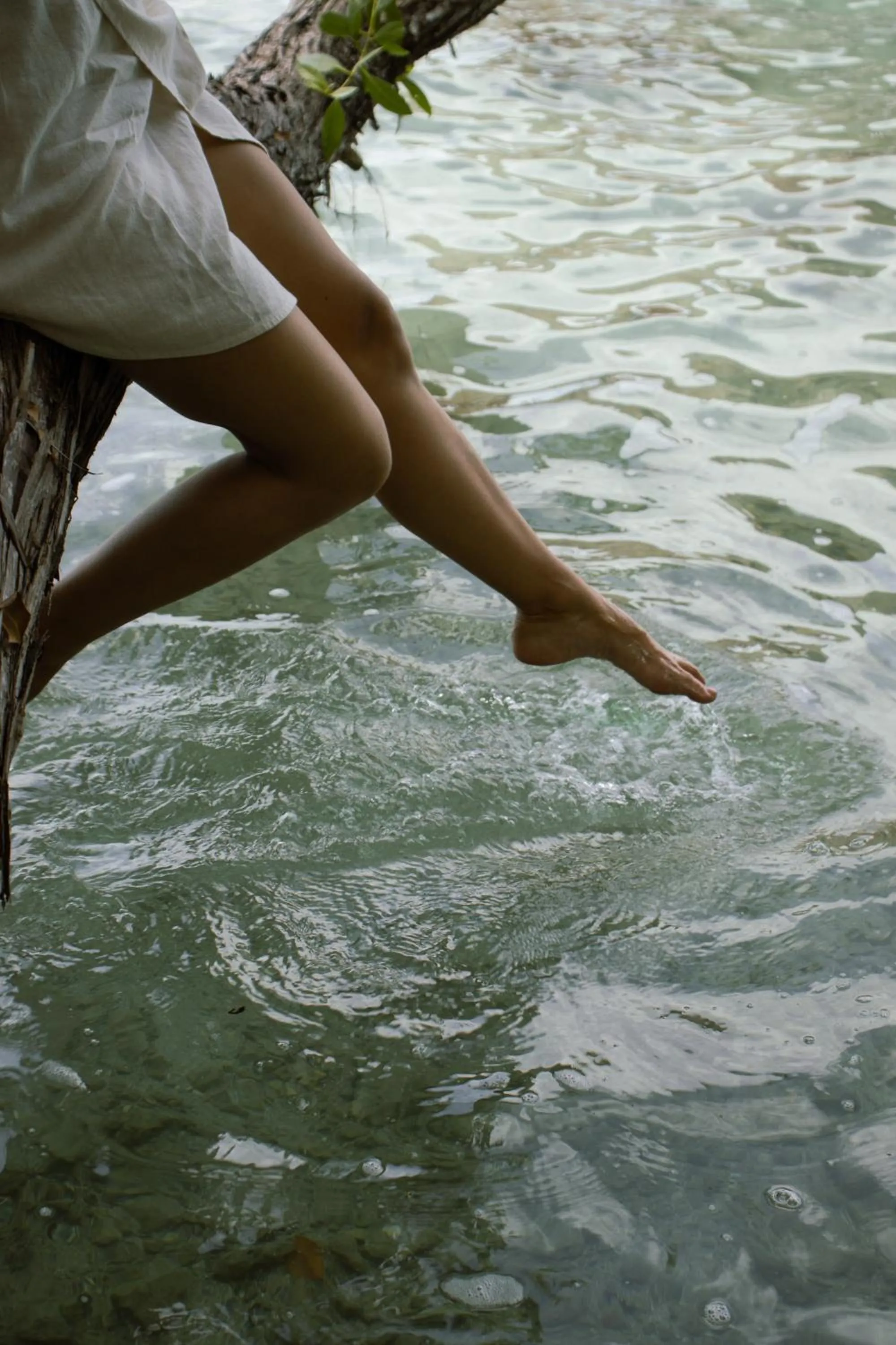 Natural landscape in Aurea Bacalar