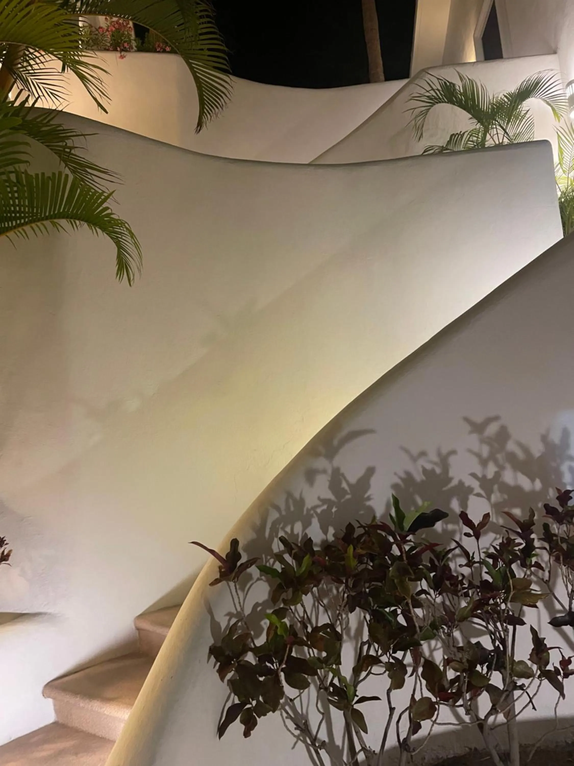 Night in Ocean View Cabo Condo Create Memories!!