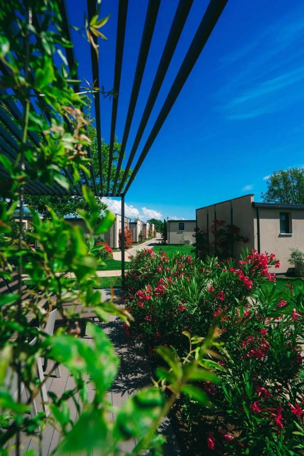 Property building in San Servolo Wellness Homes