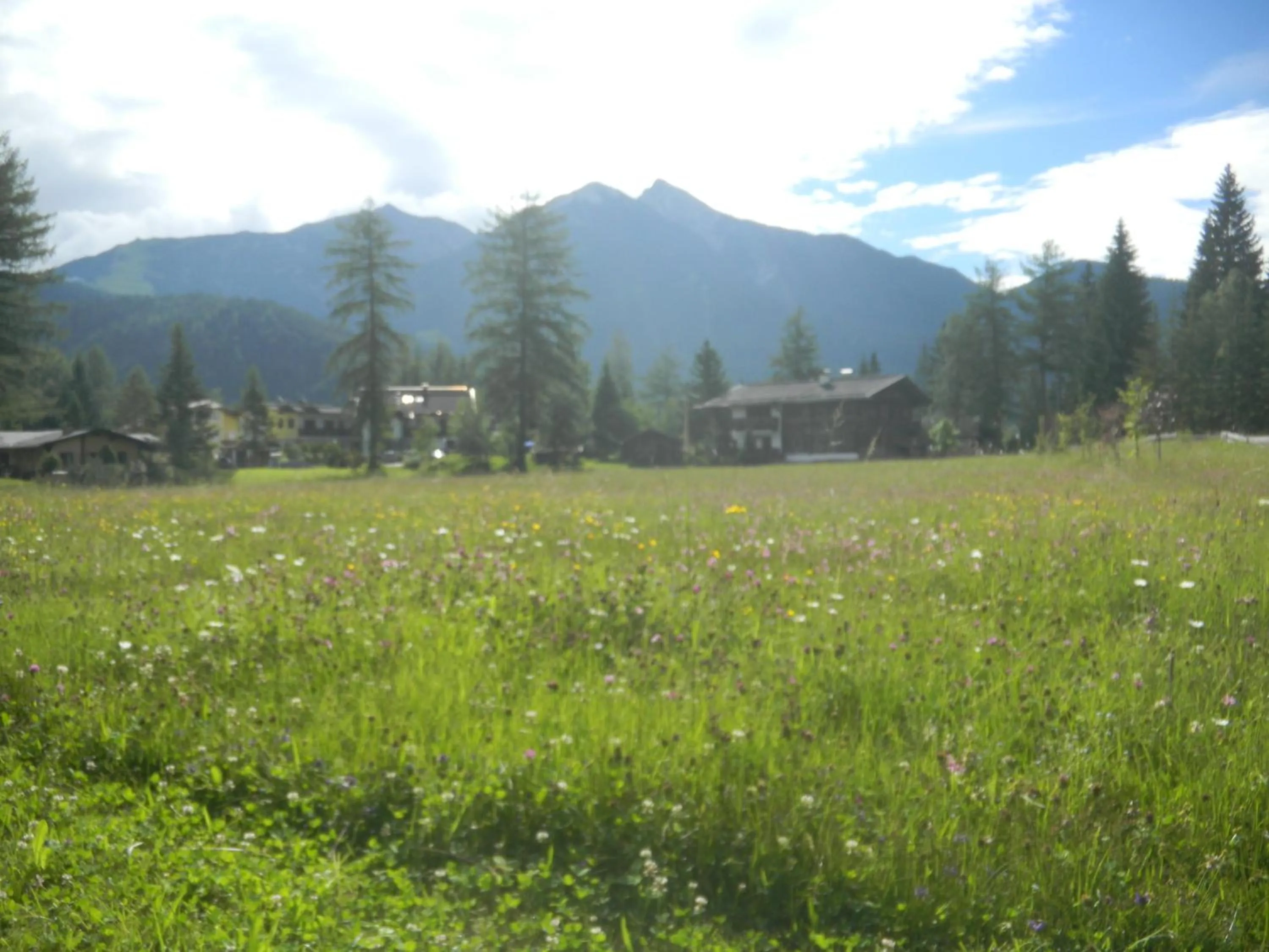 Garden in Landhaus Charlotte Apartments Tirol