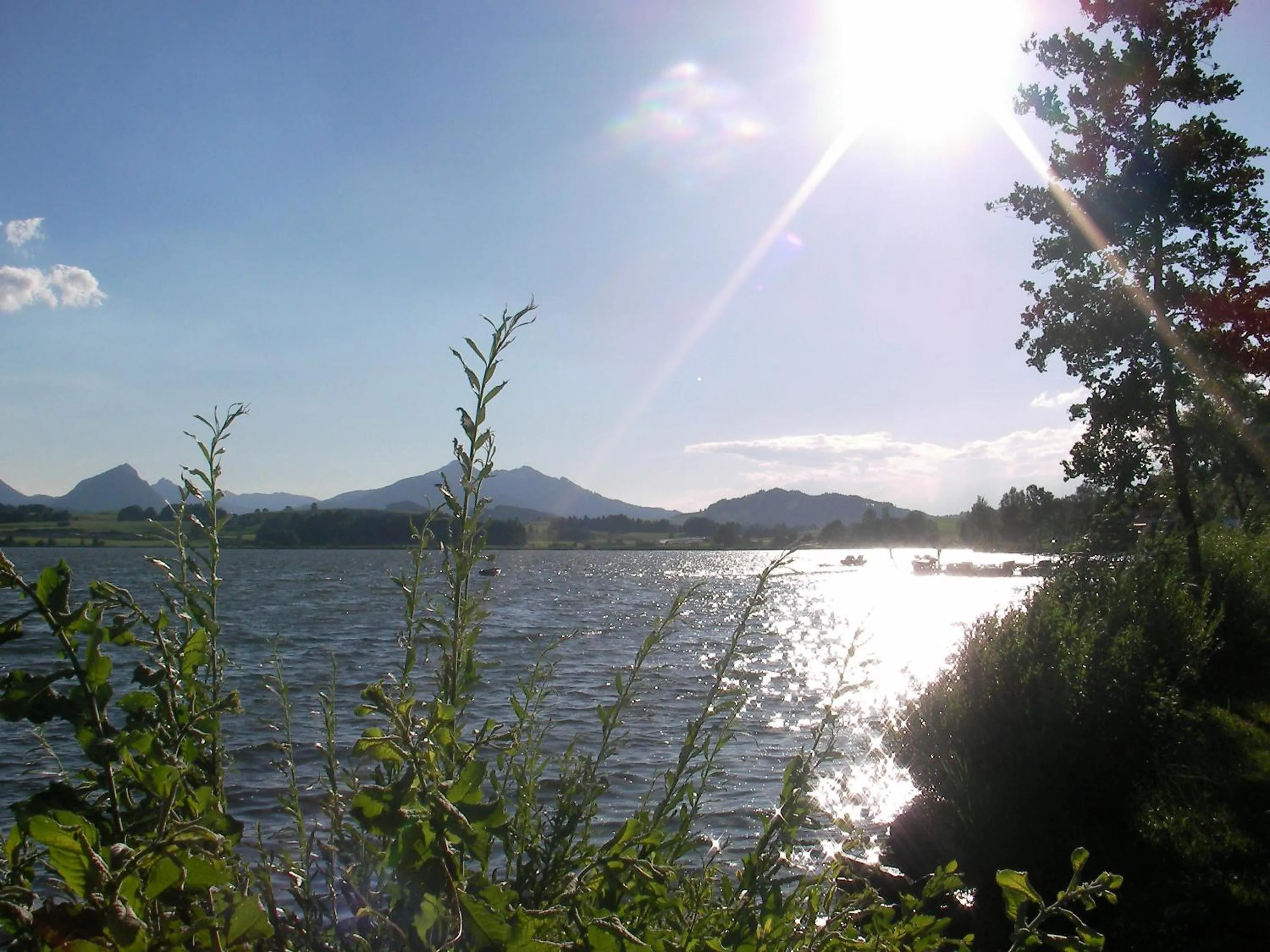 Area and facilities in Hotel Geiger