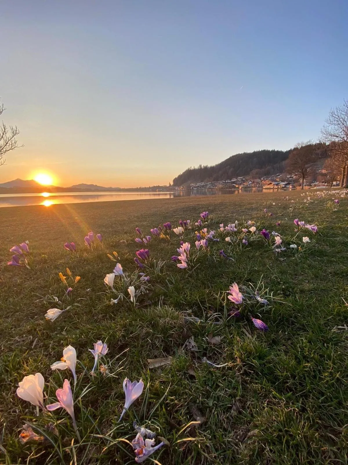 Natural landscape in Hotel Geiger