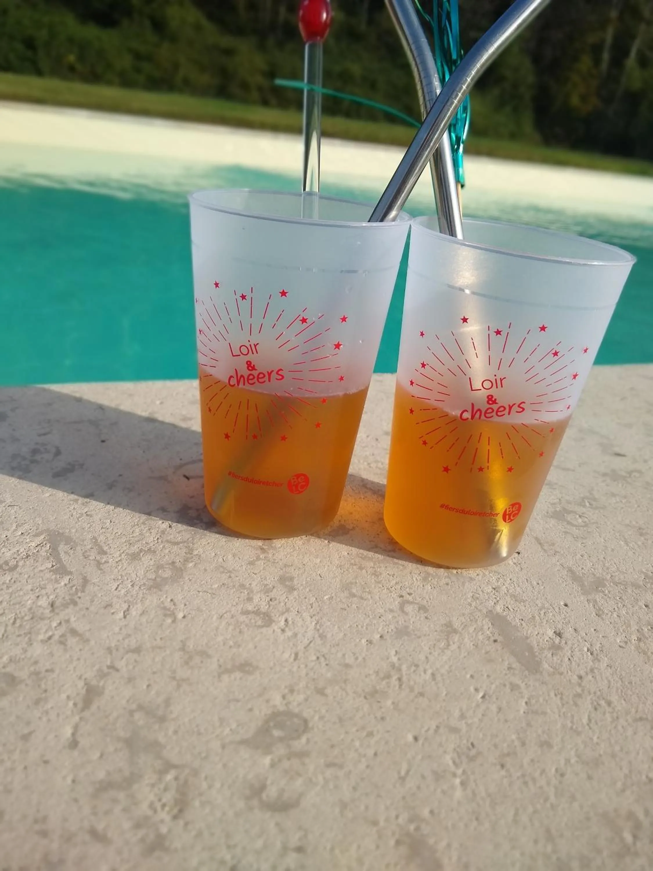 Pool view in Domaine de la Vaudourière