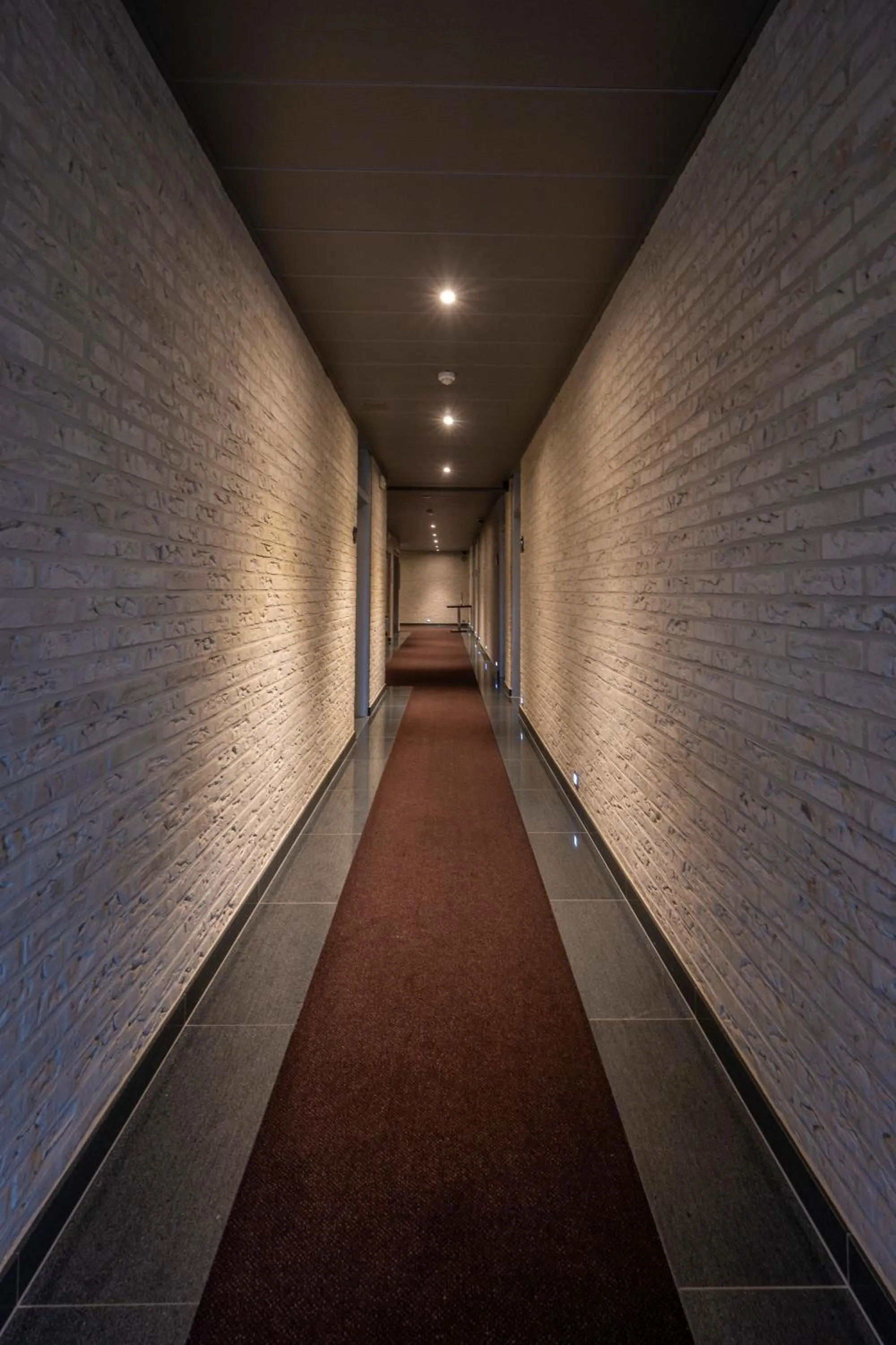 Area and facilities in Hotel Falko