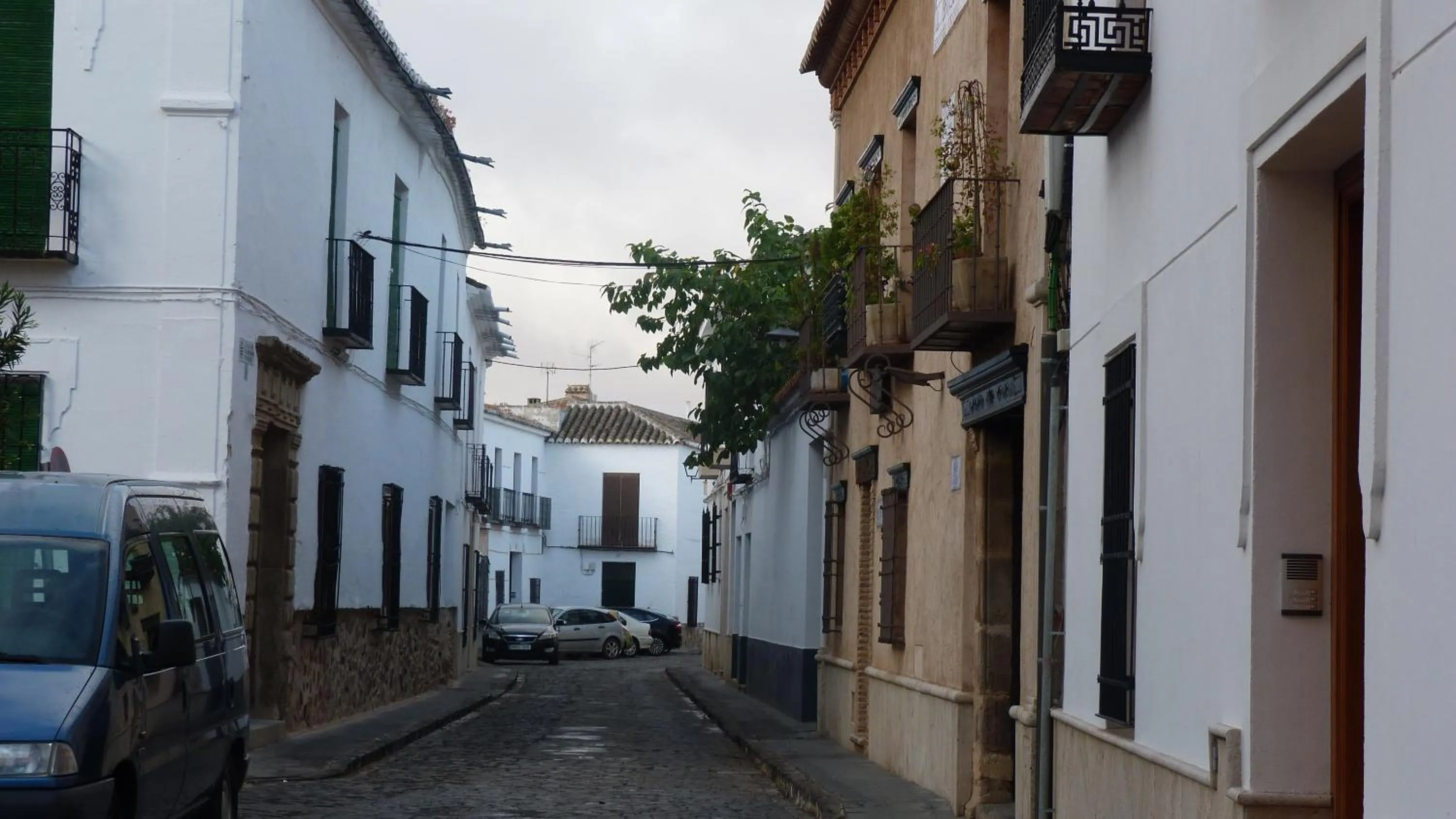 Area and facilities in Apartamento La Plazuela