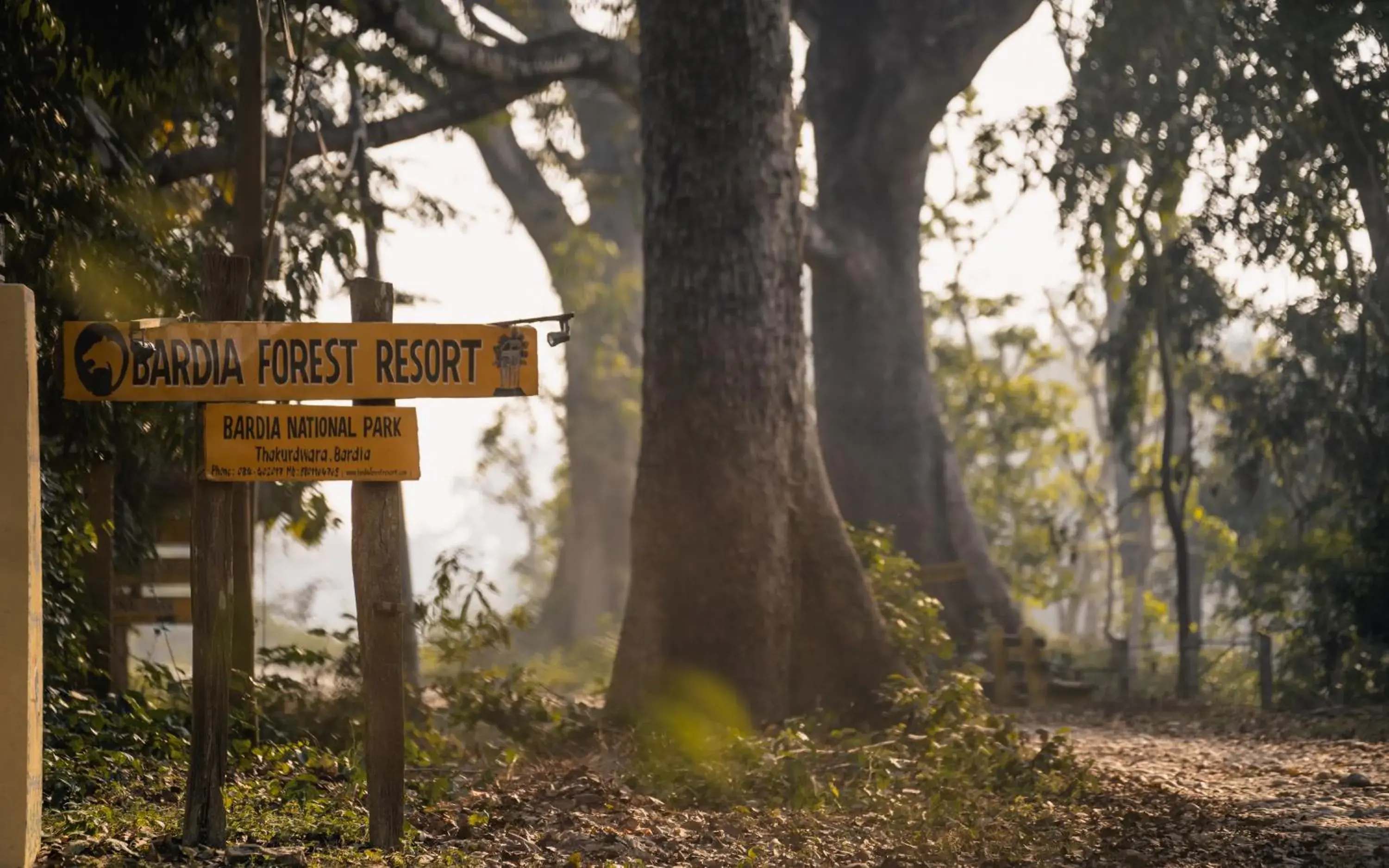 Facade/entrance in Bardia Forest Resort Facade/entrance in Bardia Forest Resort