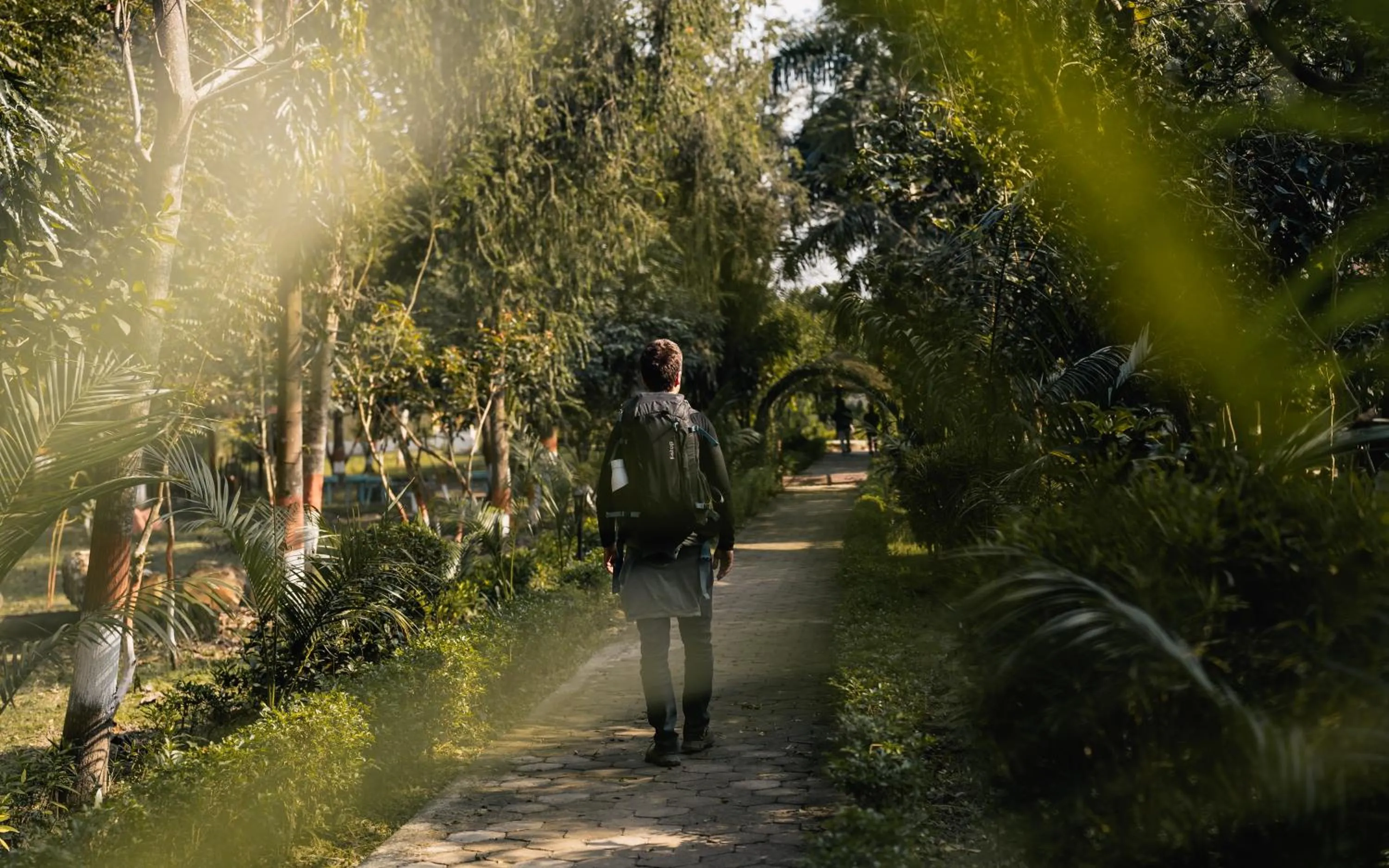 Area and facilities in Bardia Forest Resort