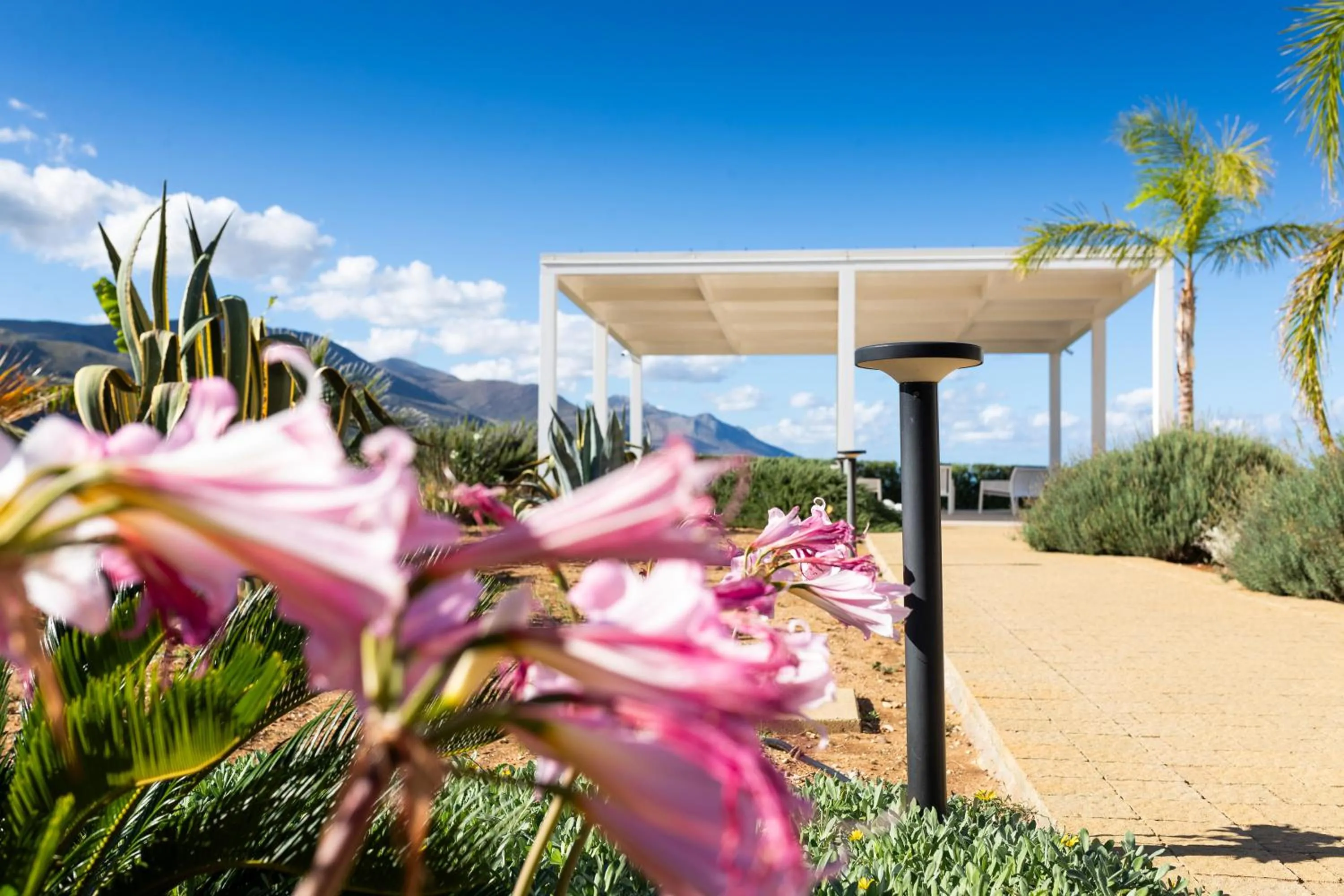 Garden in Villa Etesiae