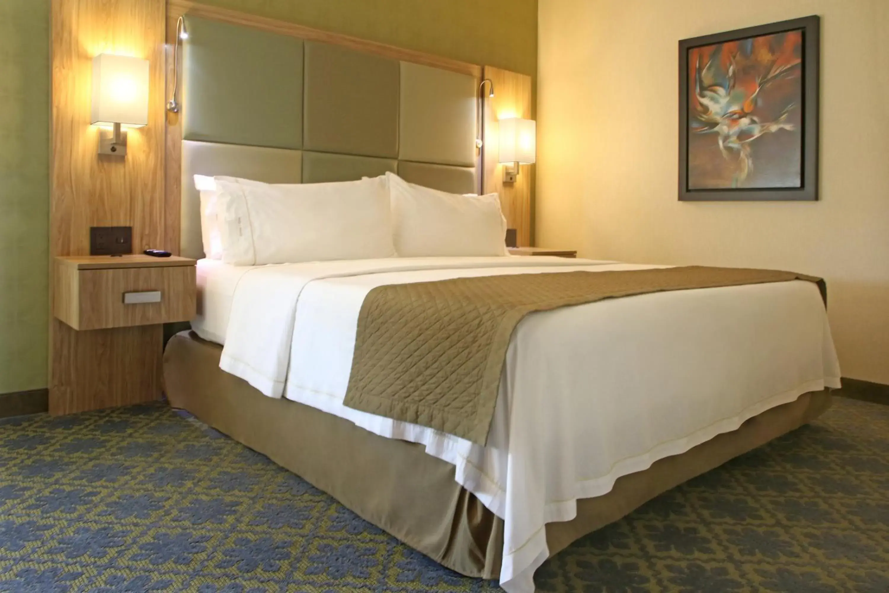 Holiday Inn Express & Suites Cuernavaca by IHG Holiday Inn Express & Suites Cuernavaca by IHG