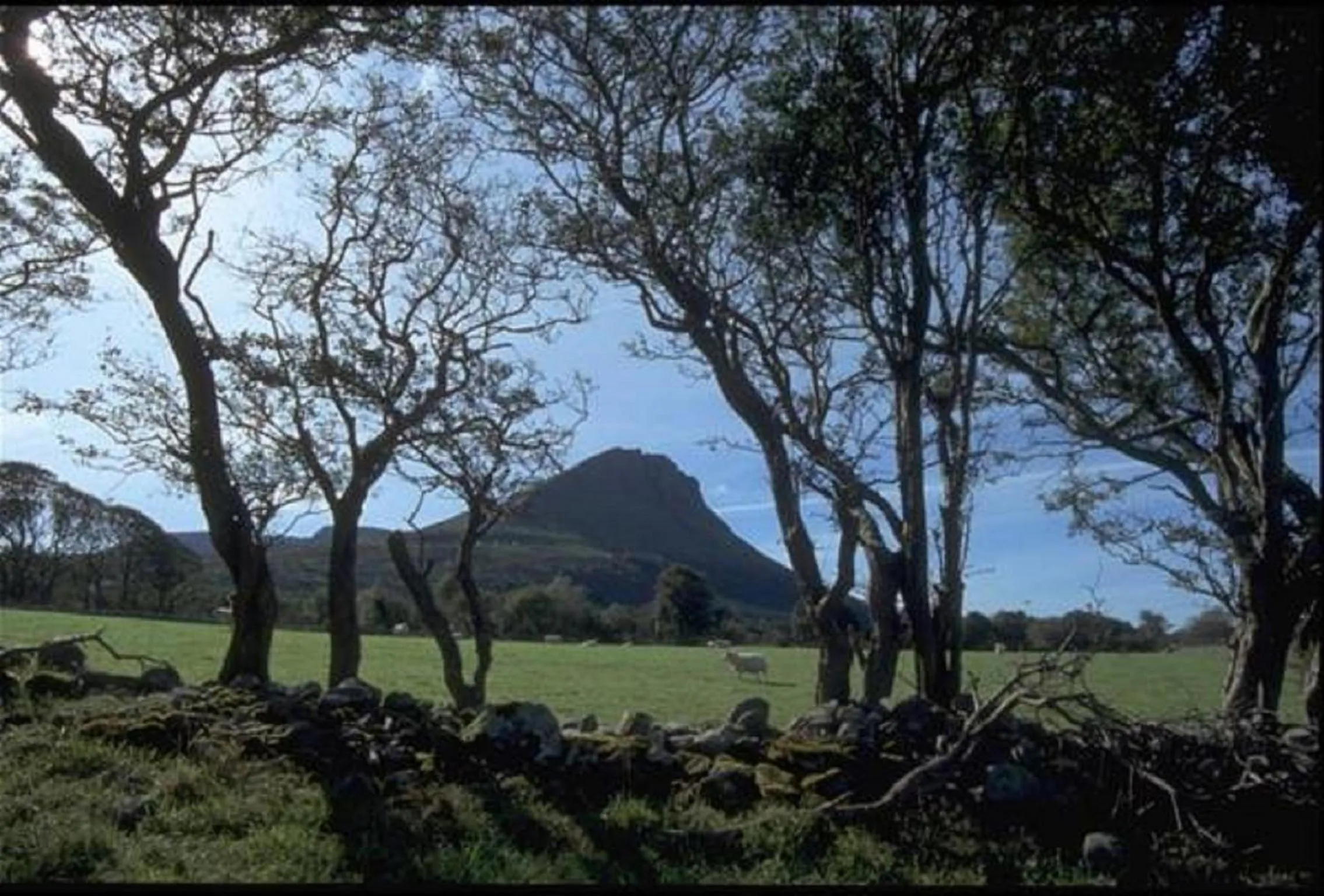 Nearby landmark in The Benwiskin Centre