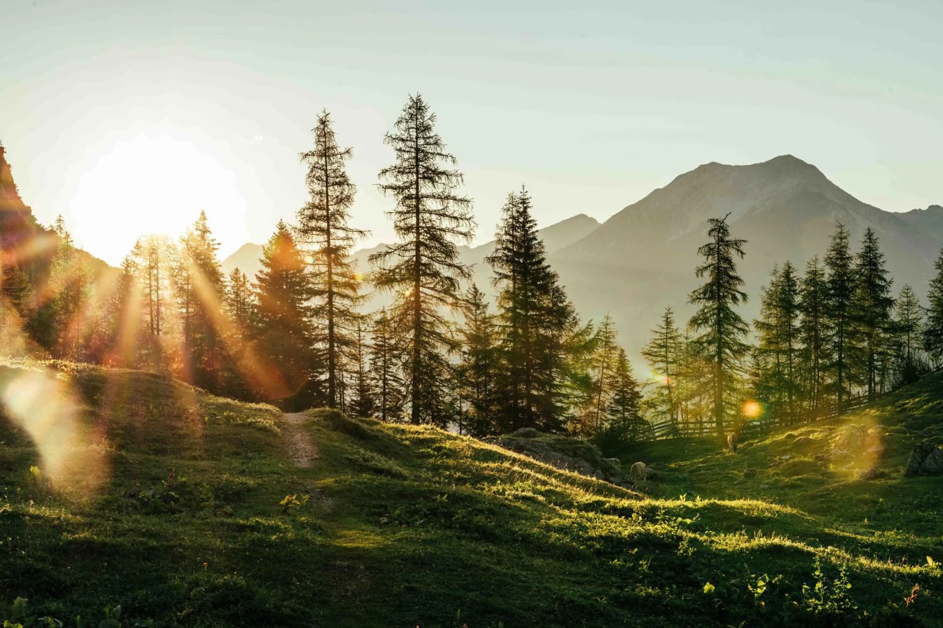 Natural landscape in Hotel Tirolerhof - Familotel Zugspitze