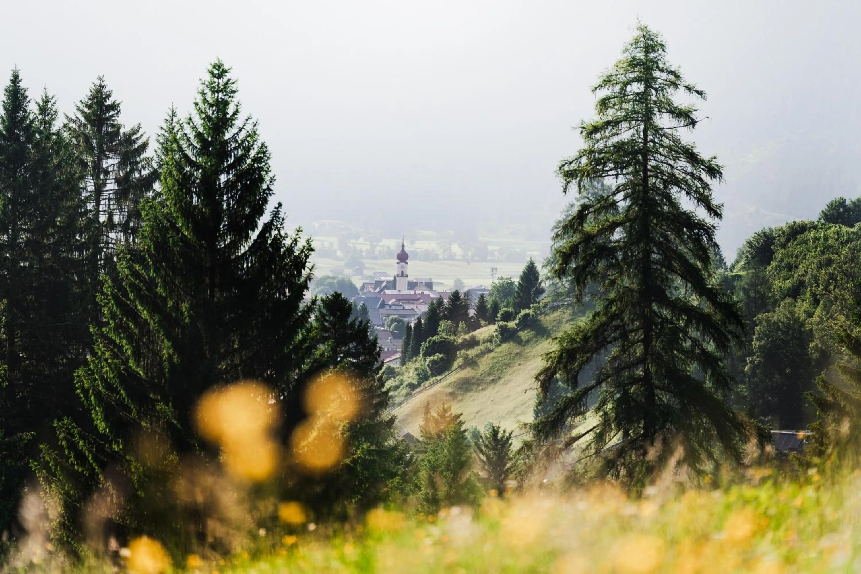 Natural landscape in Hotel Tirolerhof - Familotel Zugspitze