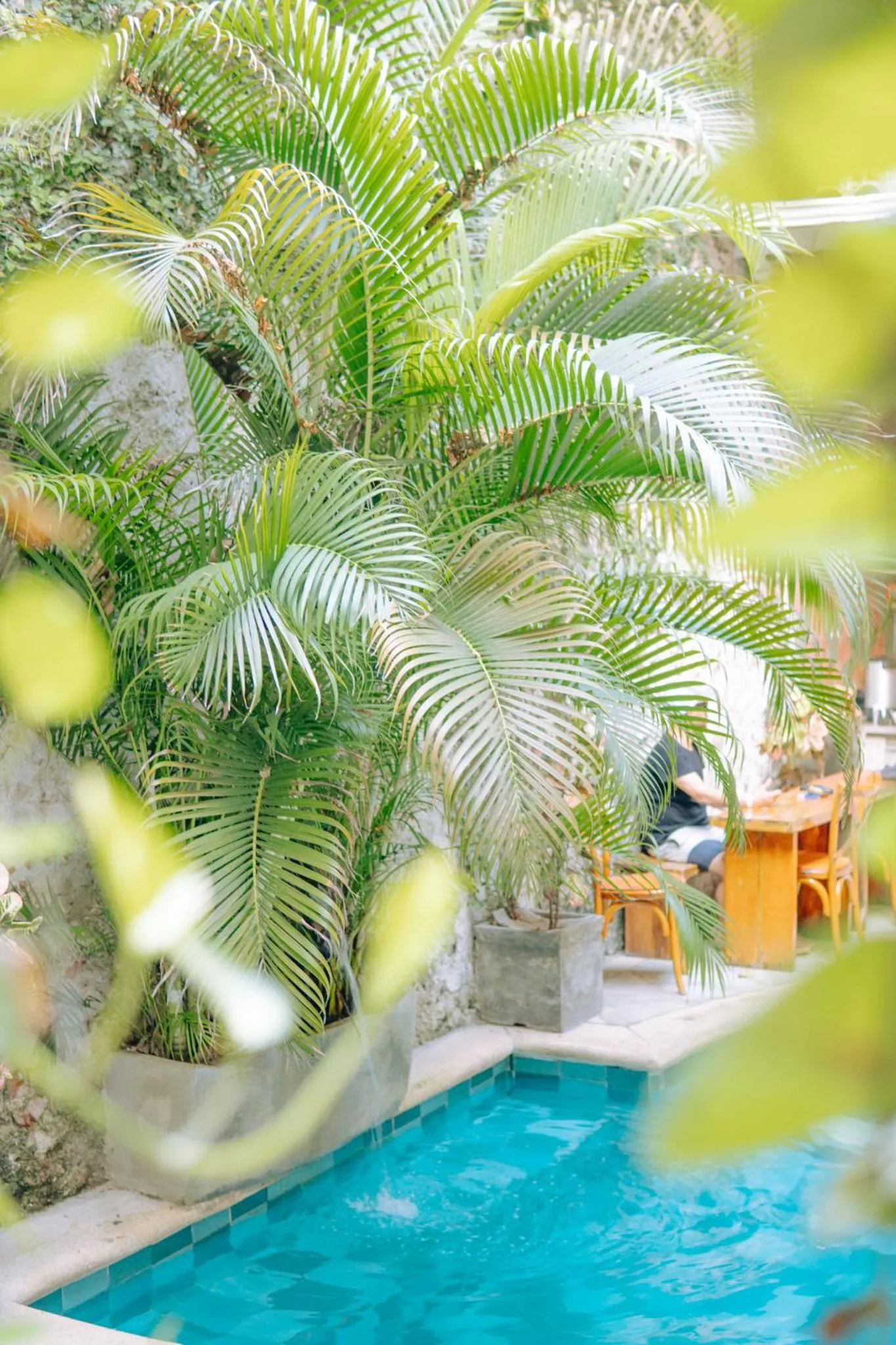 Swimming pool in Casa Zahri Boutique Hostel