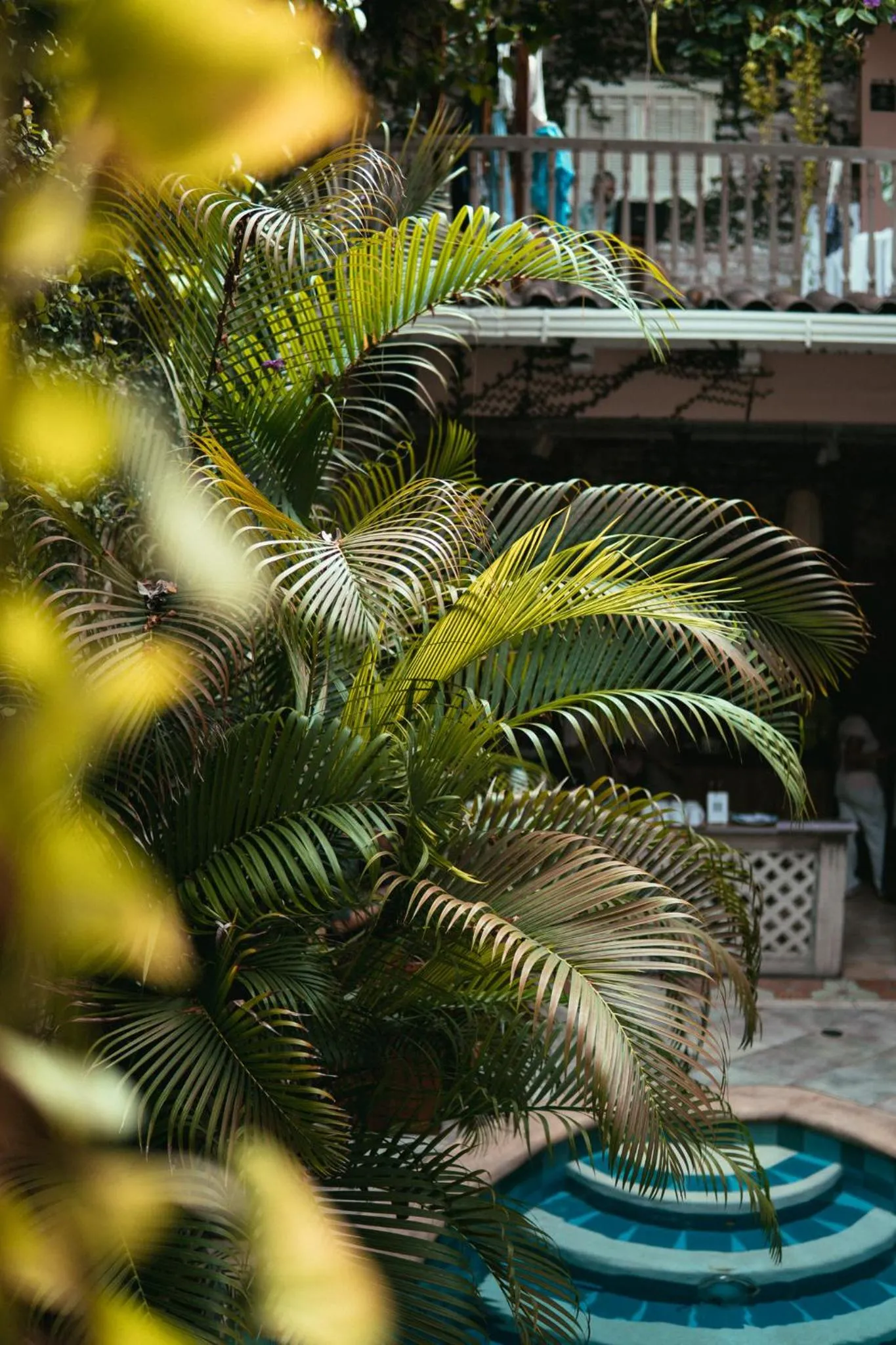 Day in Casa Zahri Boutique Hostel