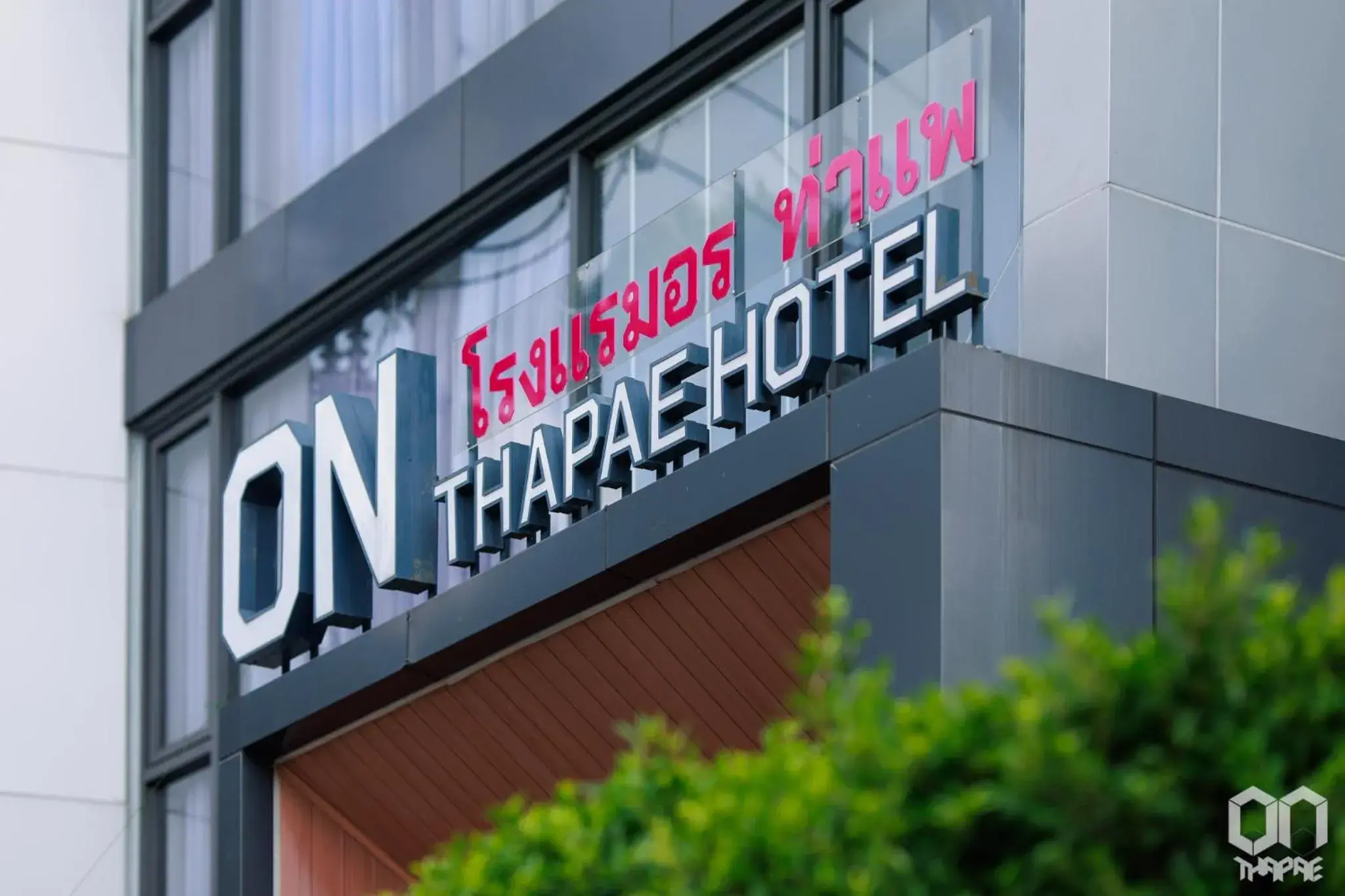 Property building in ON Thapae Gate Chiangmai Property building in ON Thapae Gate Chiangmai