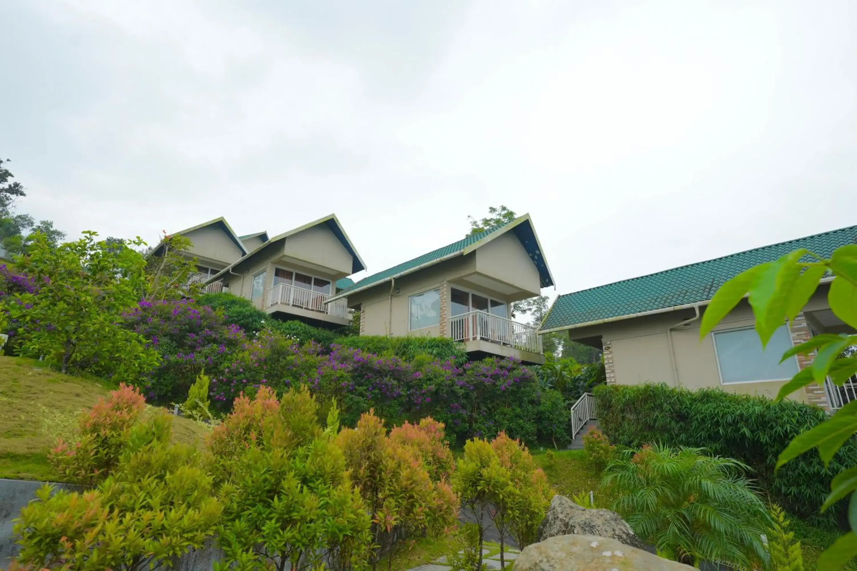 Garden view in Aveda Munnar Mountains and Mist Garden view in Aveda Munnar Mountains and Mist