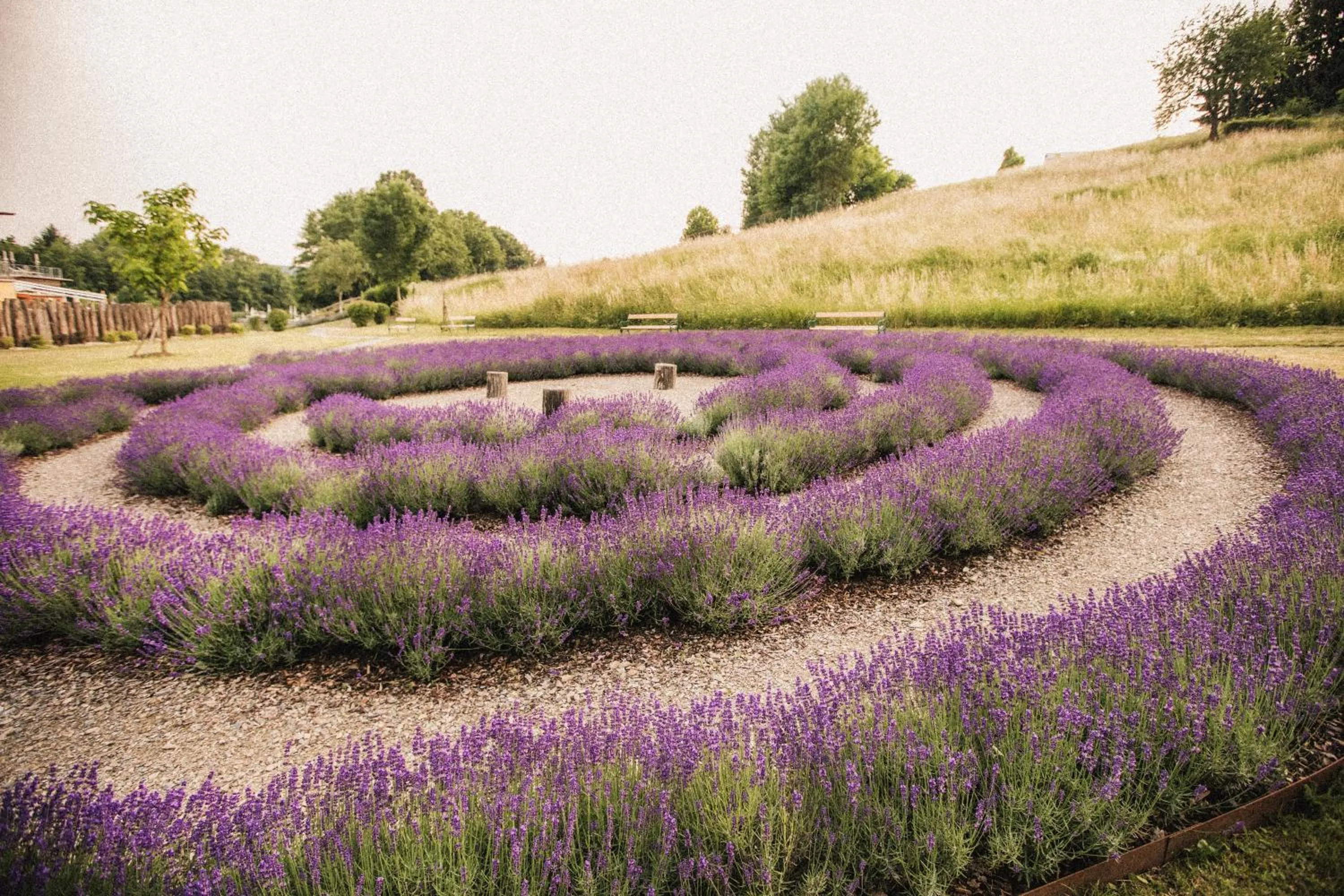 Spring in Heilthermen Resort Bad Waltersdorf