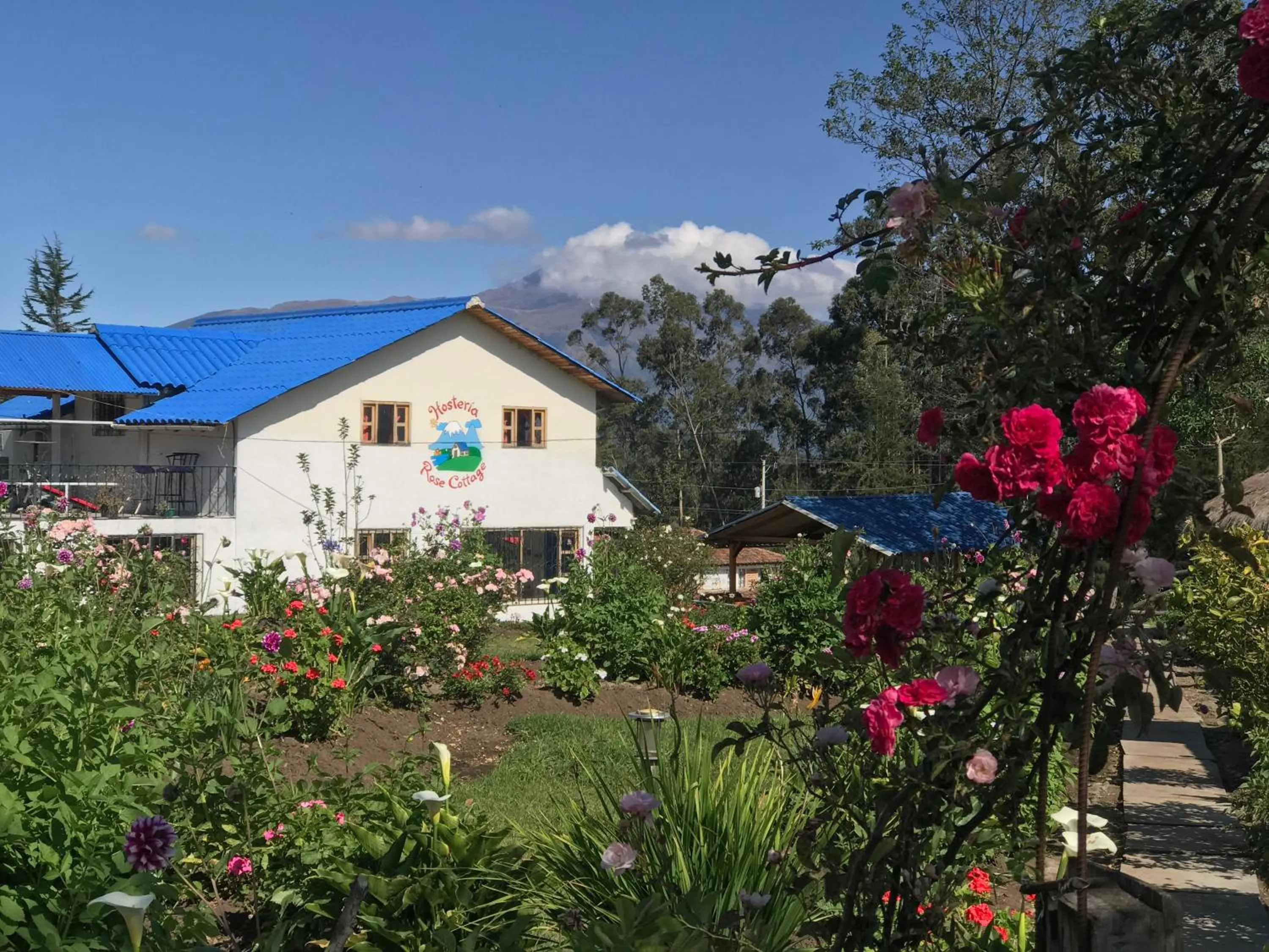 Standard Twin Room with Mountain View in Hosteria Rose Cottage