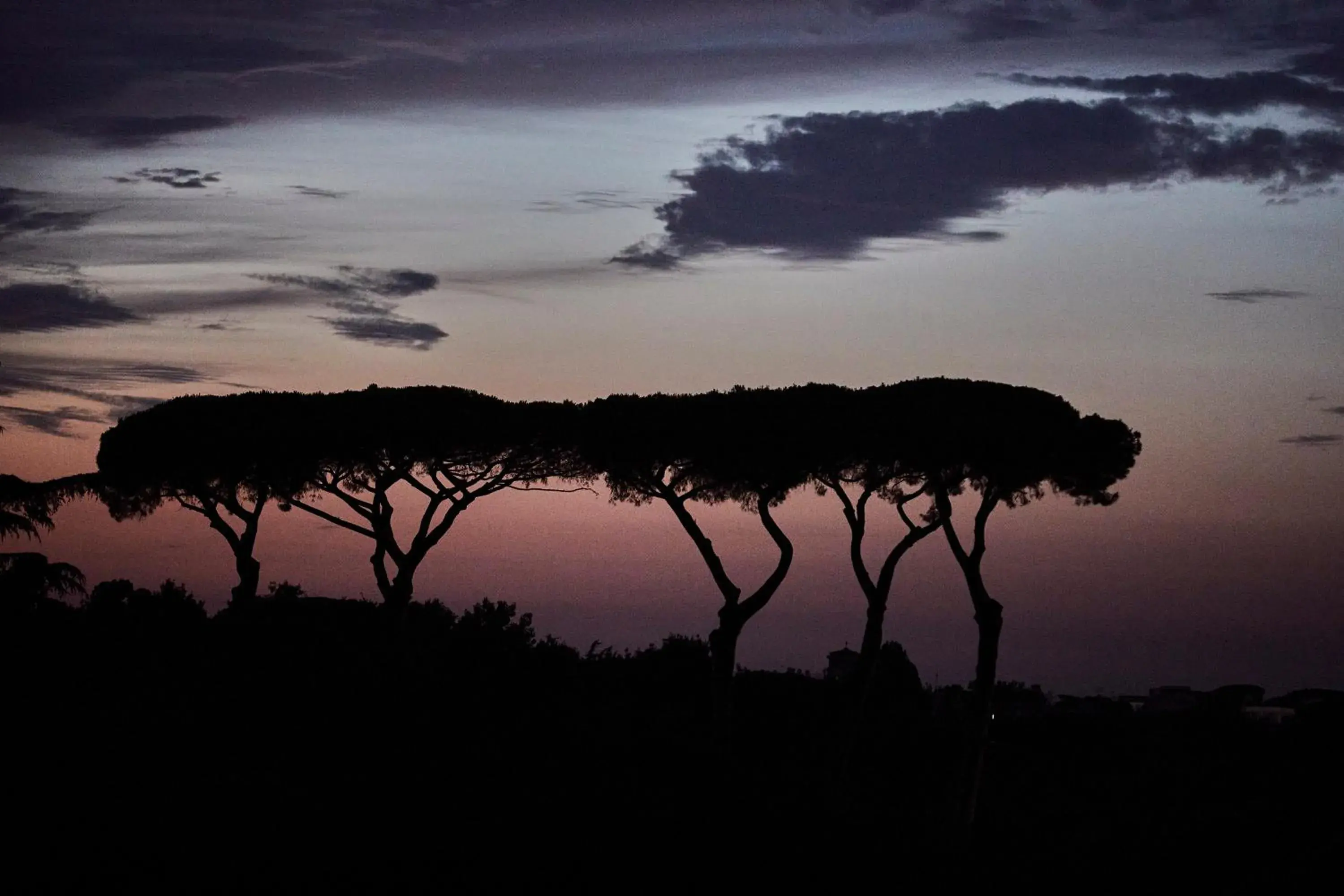 View (from property/room) in Hotel Villa Pamphili Roma View (from property/room) in Hotel Villa Pamphili Roma