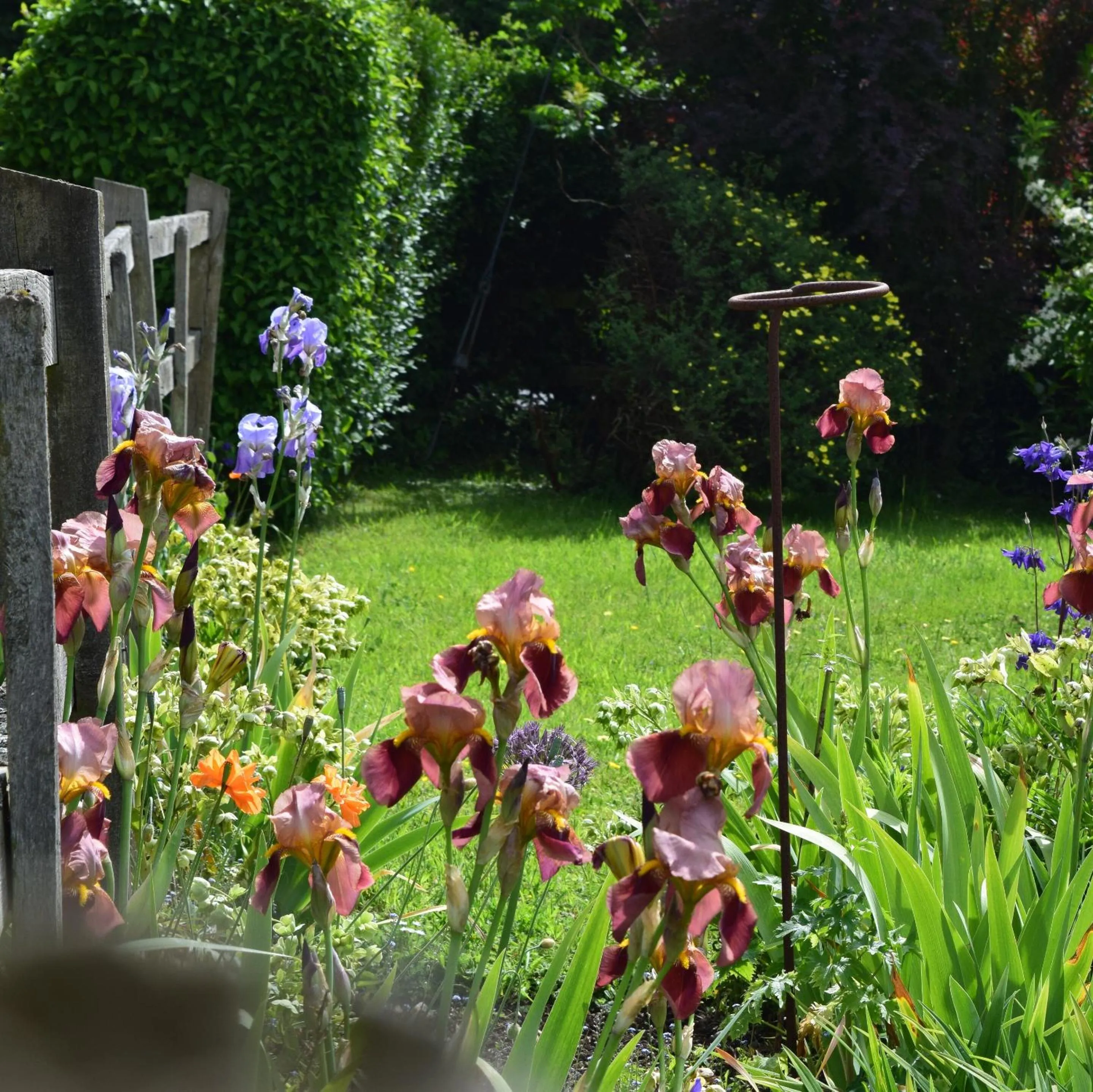 Garden in Sandhurst Farm Forge Self Catering Stableblock