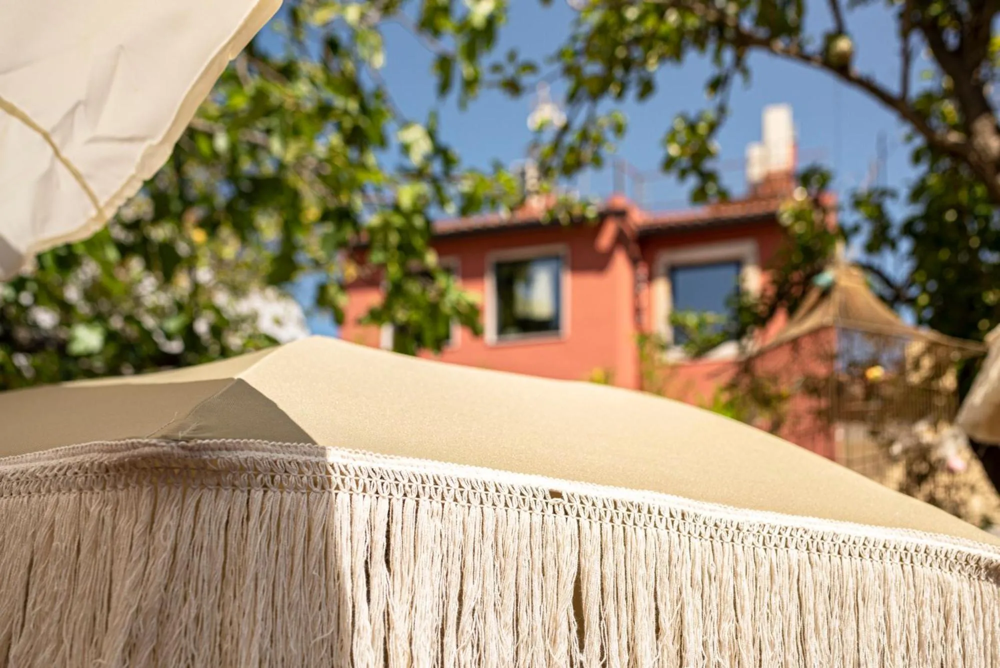 Garden in toctoctoc lisboa