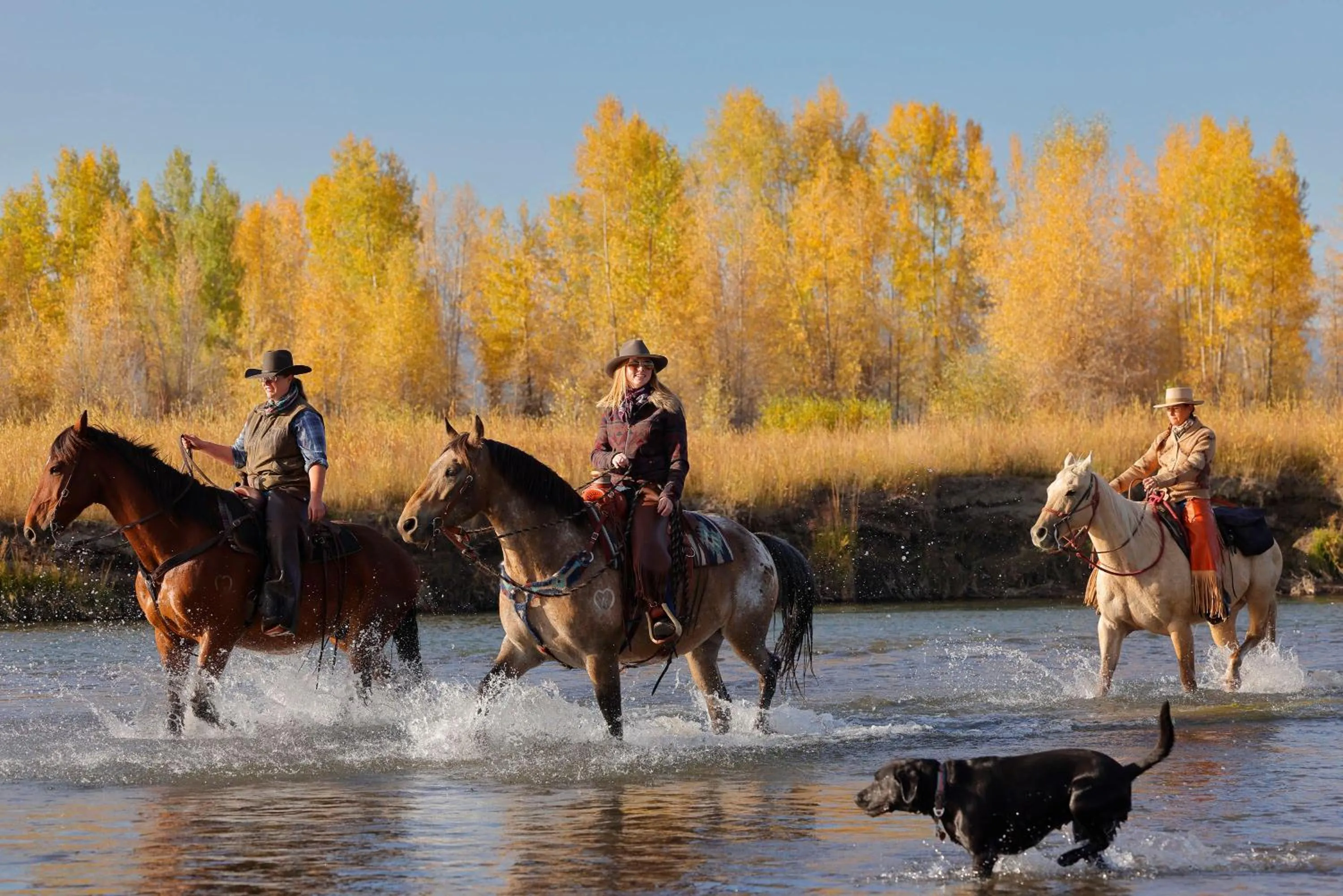 Day in Heart Six Ranch