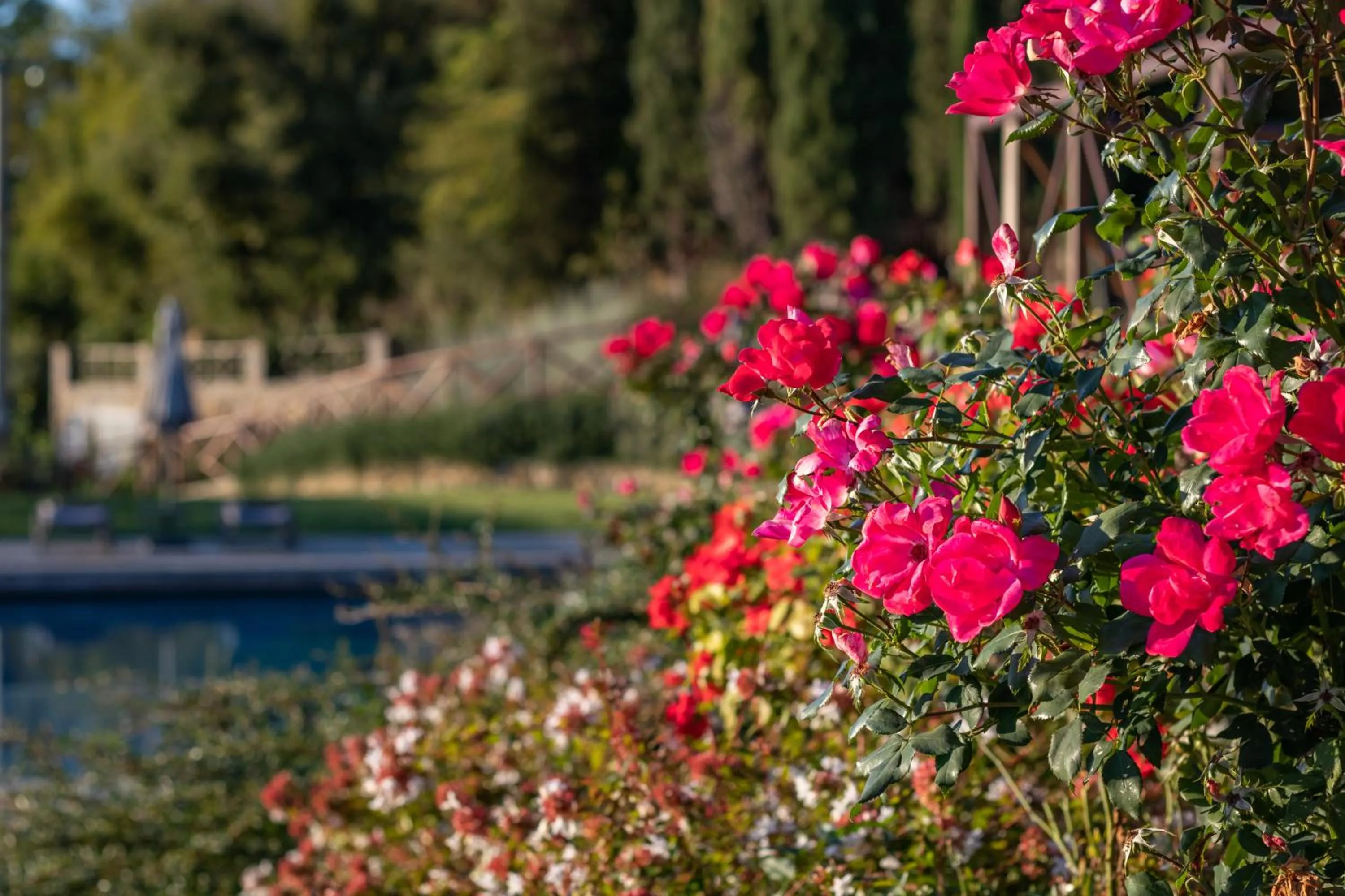 Pool view in Chimera Tuscany Resort