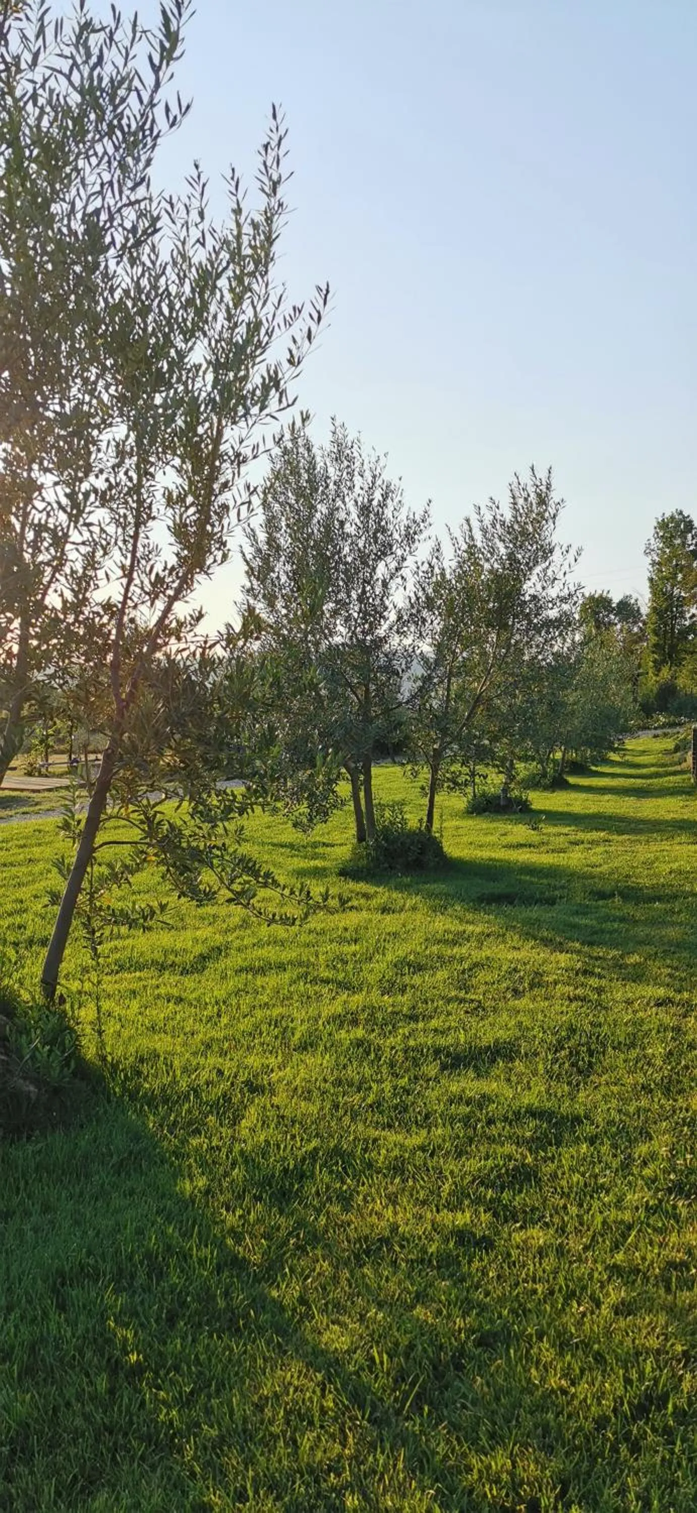 Garden in Chimera Tuscany Resort