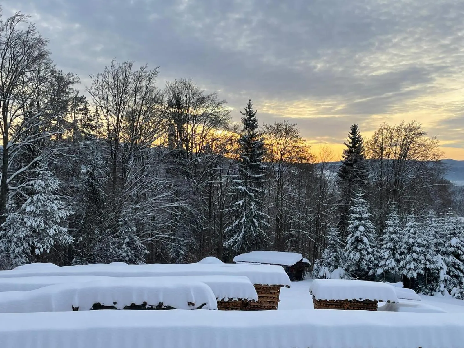 Garden view in Robenstein Aktivhotel & SPA