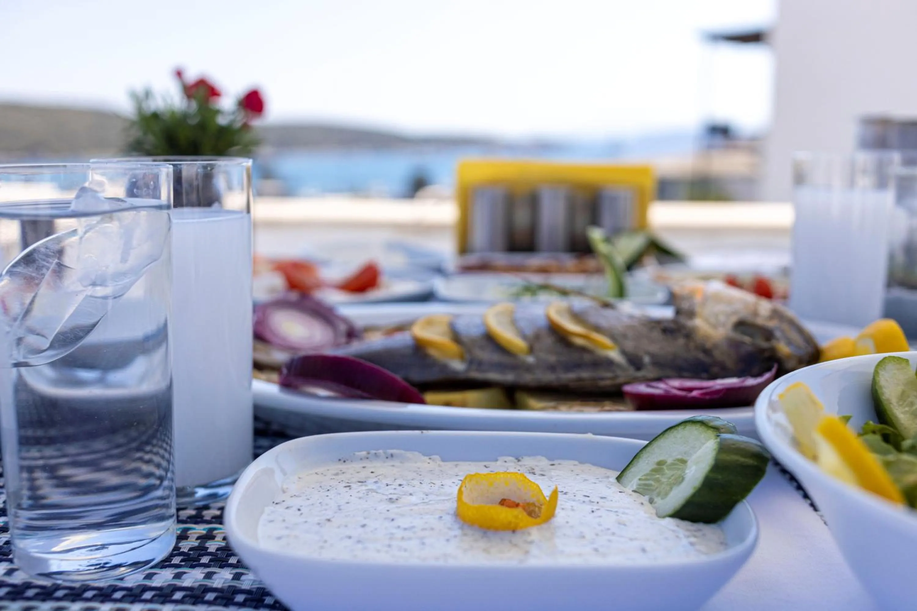 Restaurant/places to eat in Hola Bodrum