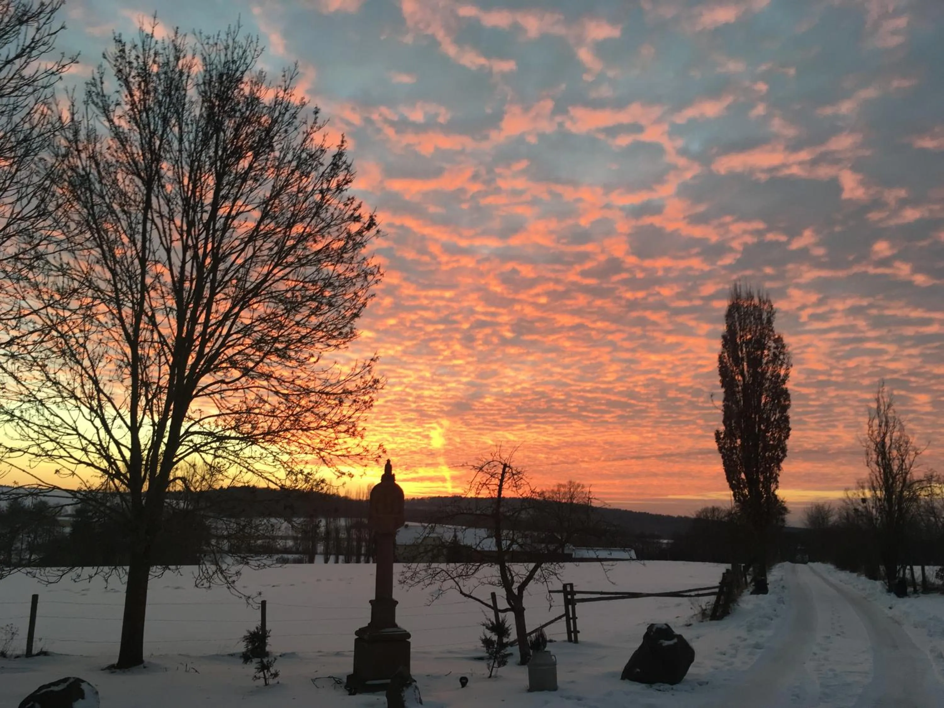 Winter in LindenGut Bio Hotel & Bio Herberge