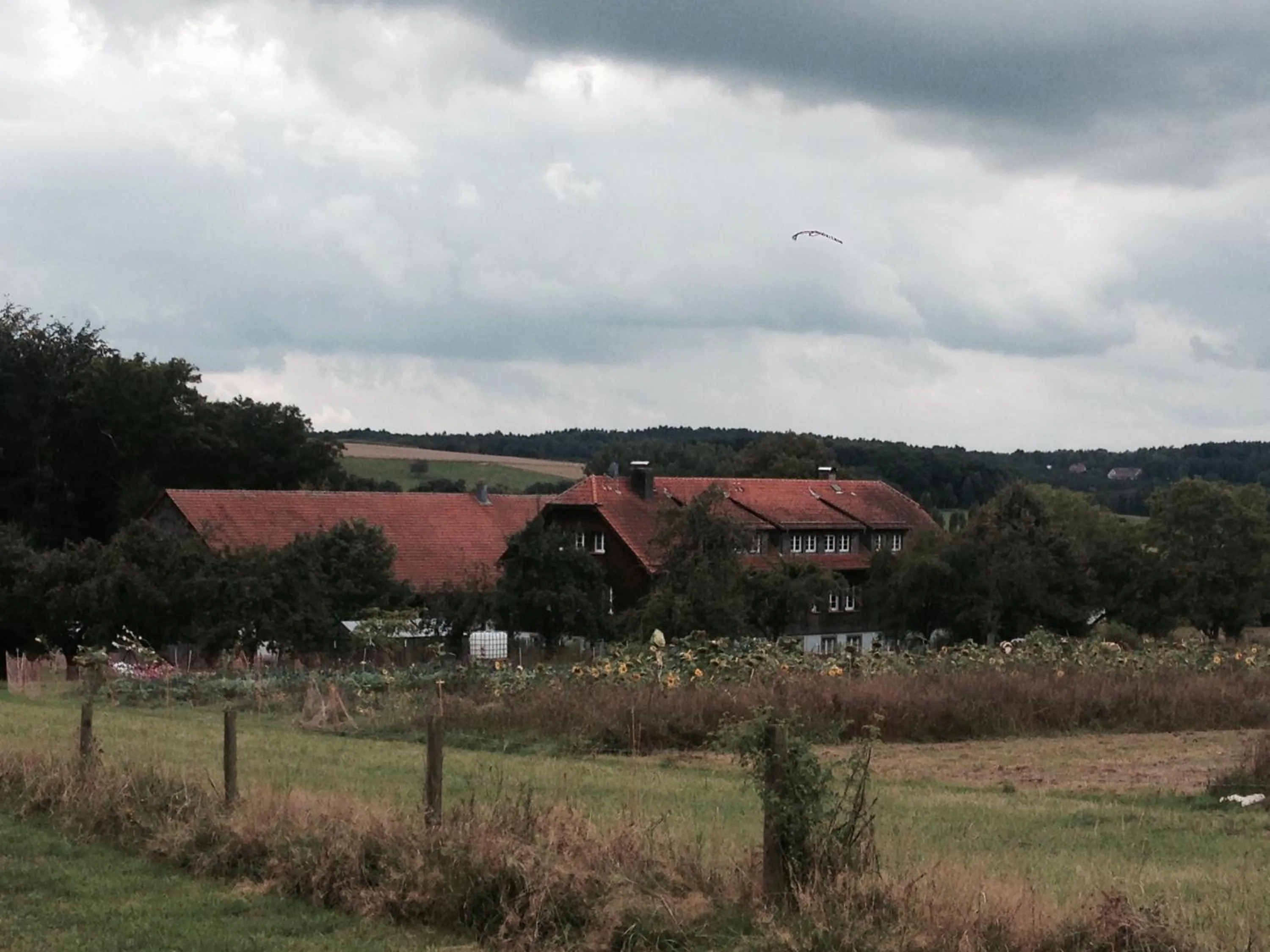 Natural landscape in LindenGut Bio Hotel & Bio Herberge