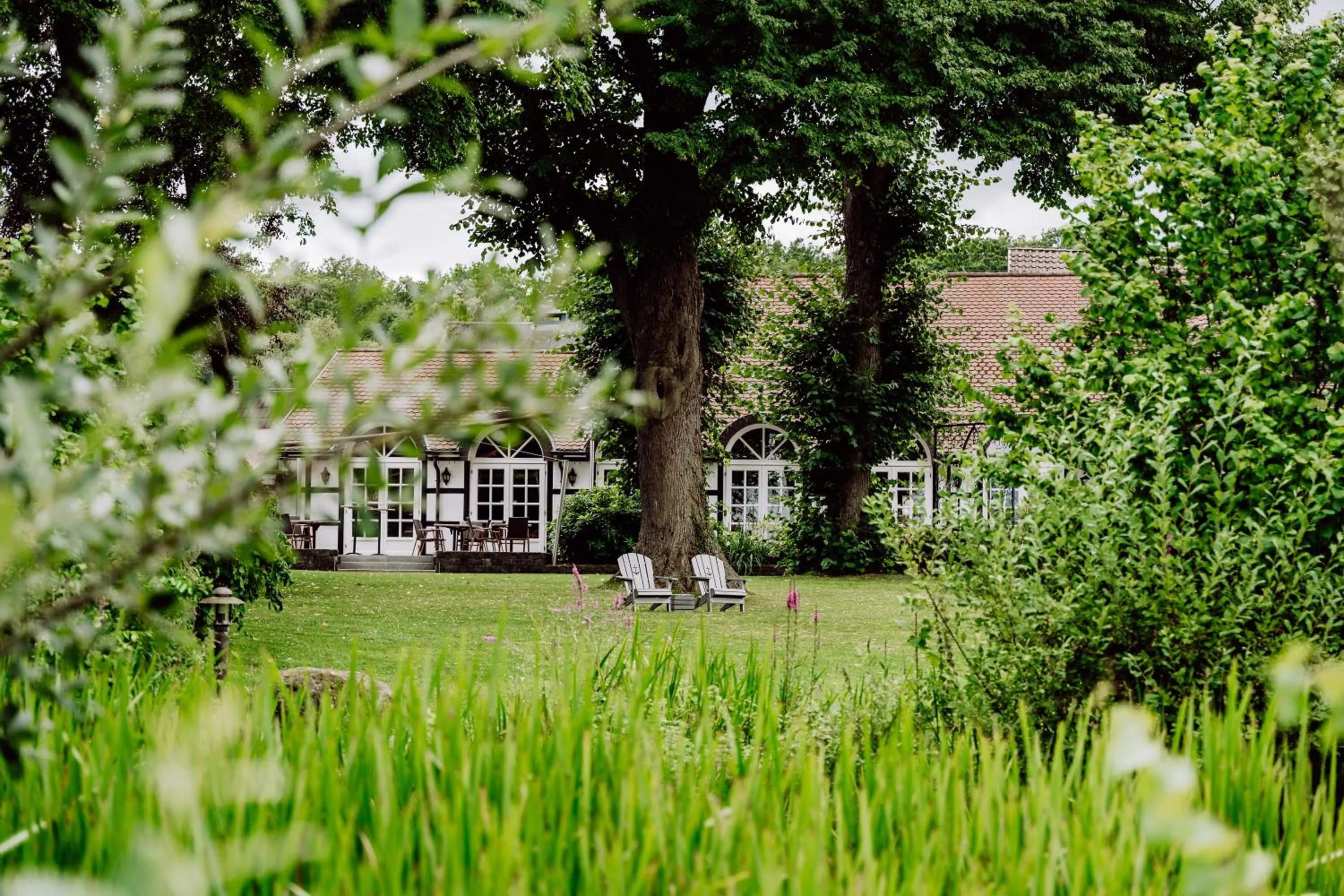 Natural landscape in Romantik Hotel Bösehof