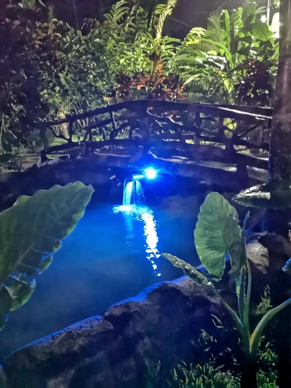 Pool view in Orquideas Boutique Hotel Pool view in Orquideas Boutique Hotel