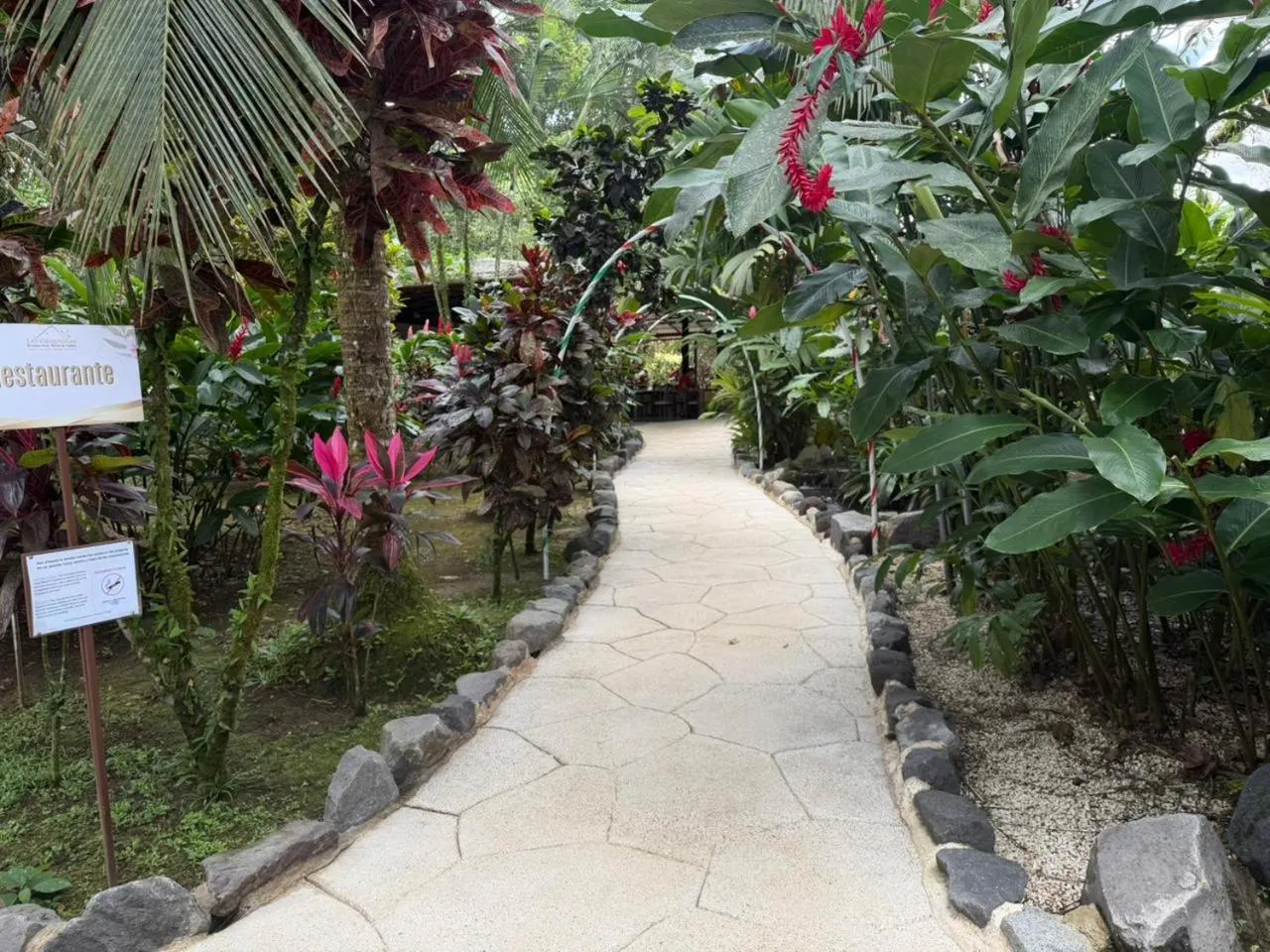 Garden in Orquideas Boutique Hotel