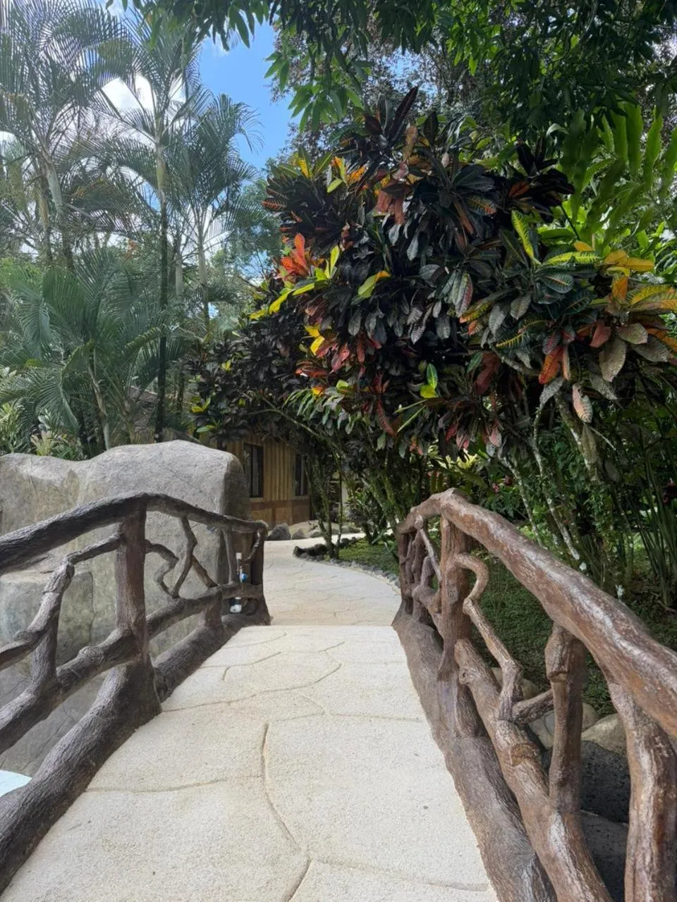 Garden in Orquideas Boutique Hotel