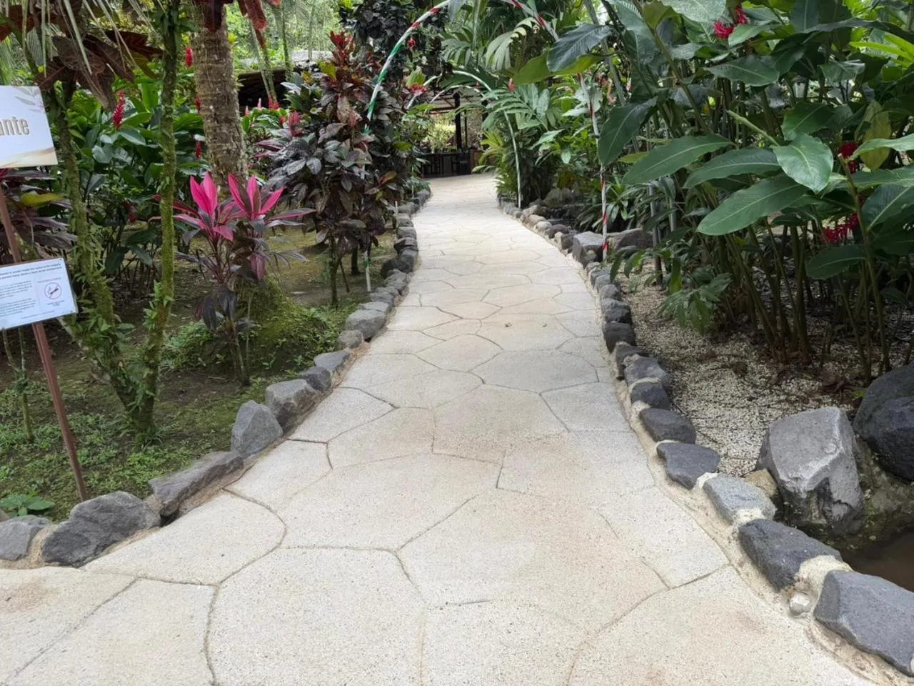 Garden in Orquideas Boutique Hotel