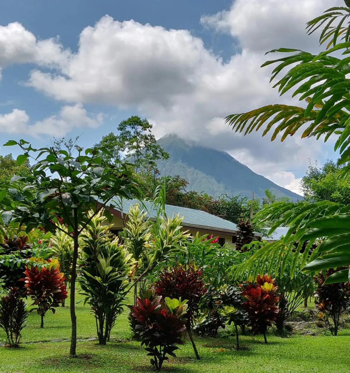 Garden in Orquideas Boutique Hotel