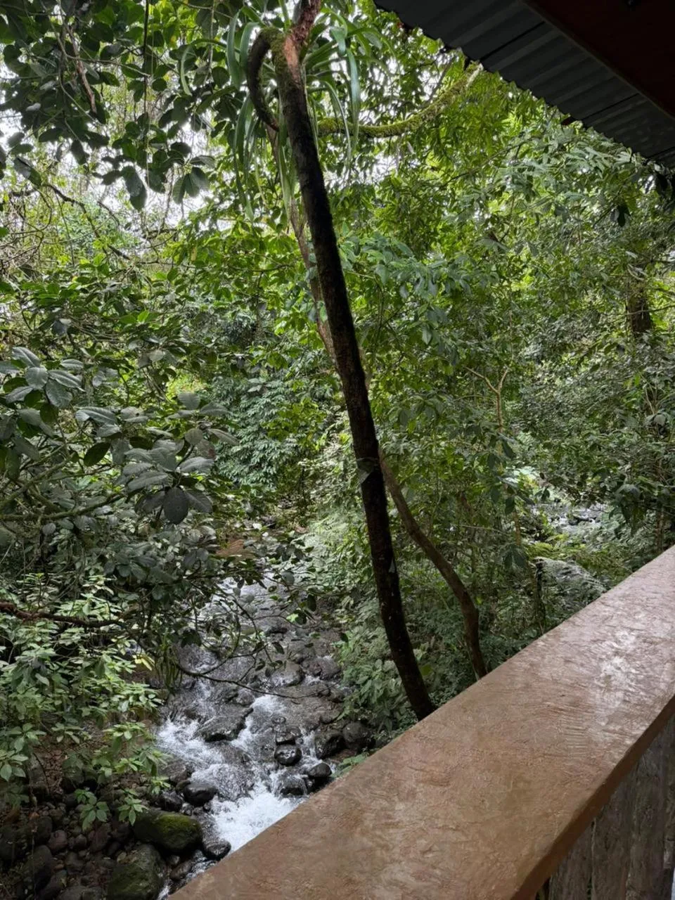 Natural landscape in Orquideas Boutique Hotel