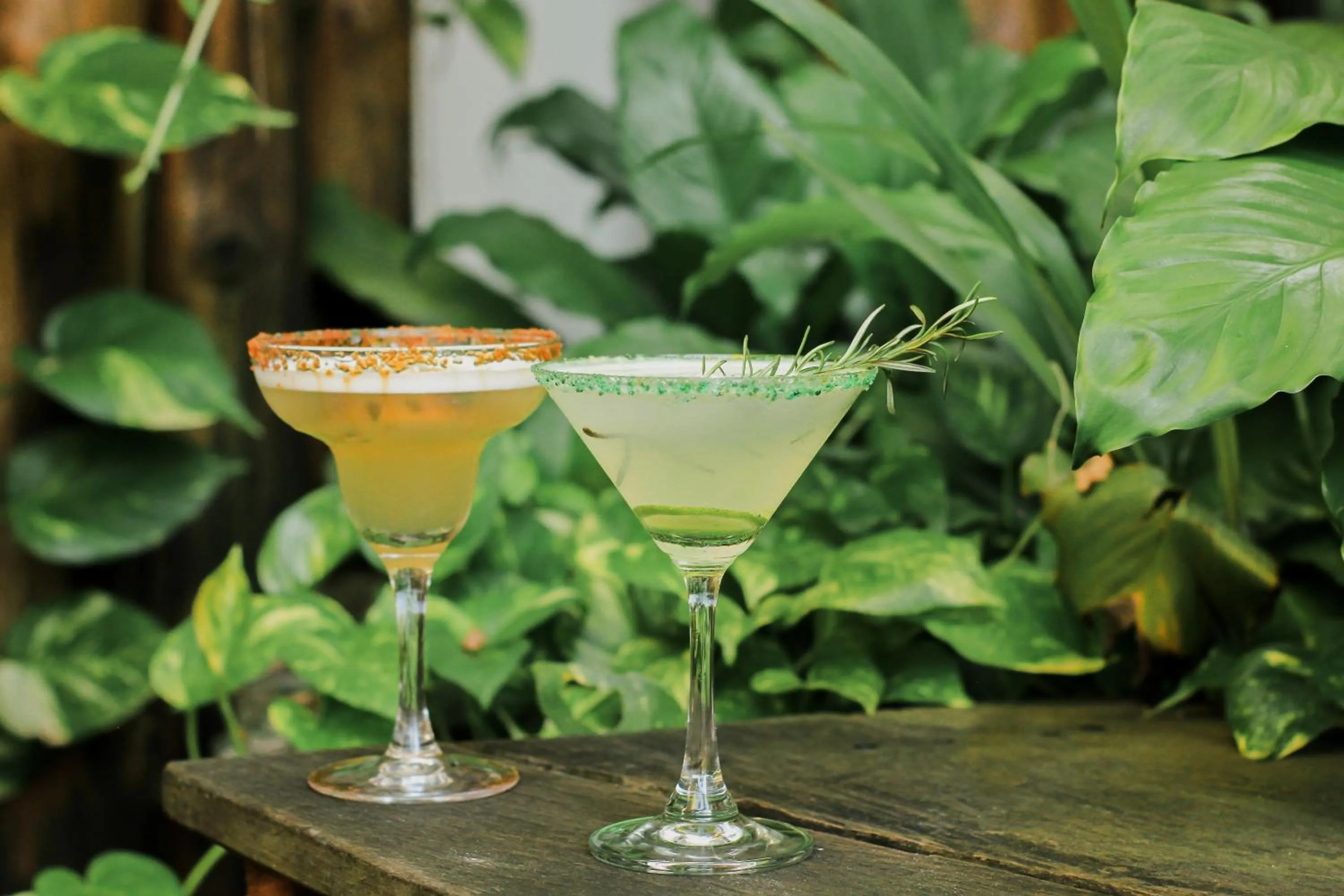 Food and drinks in Grandmas Plus Hotel Airport