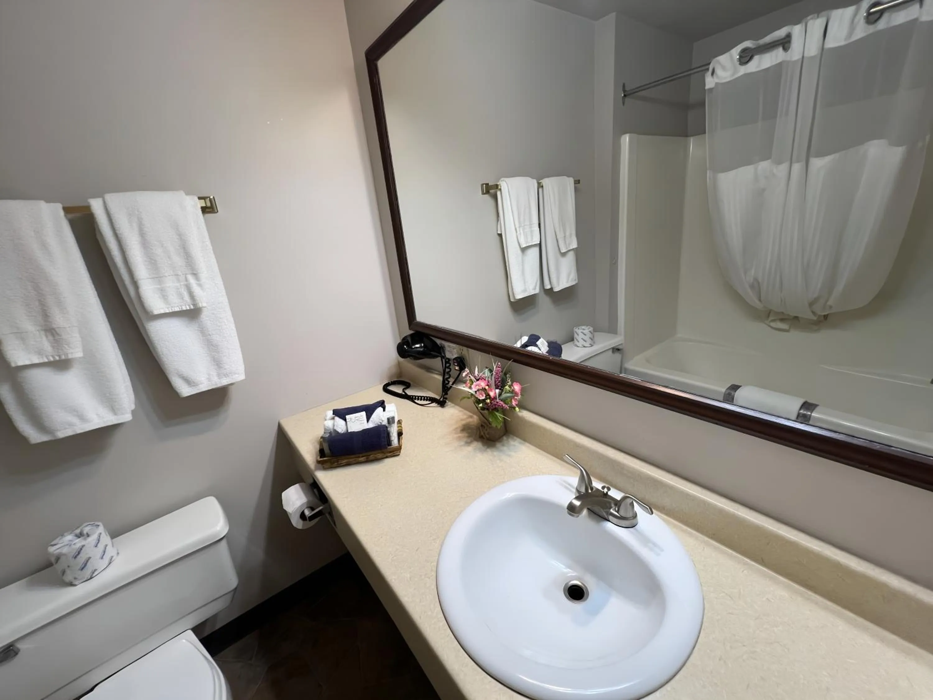 Bathroom in Ramada by Wyndham Florenceville