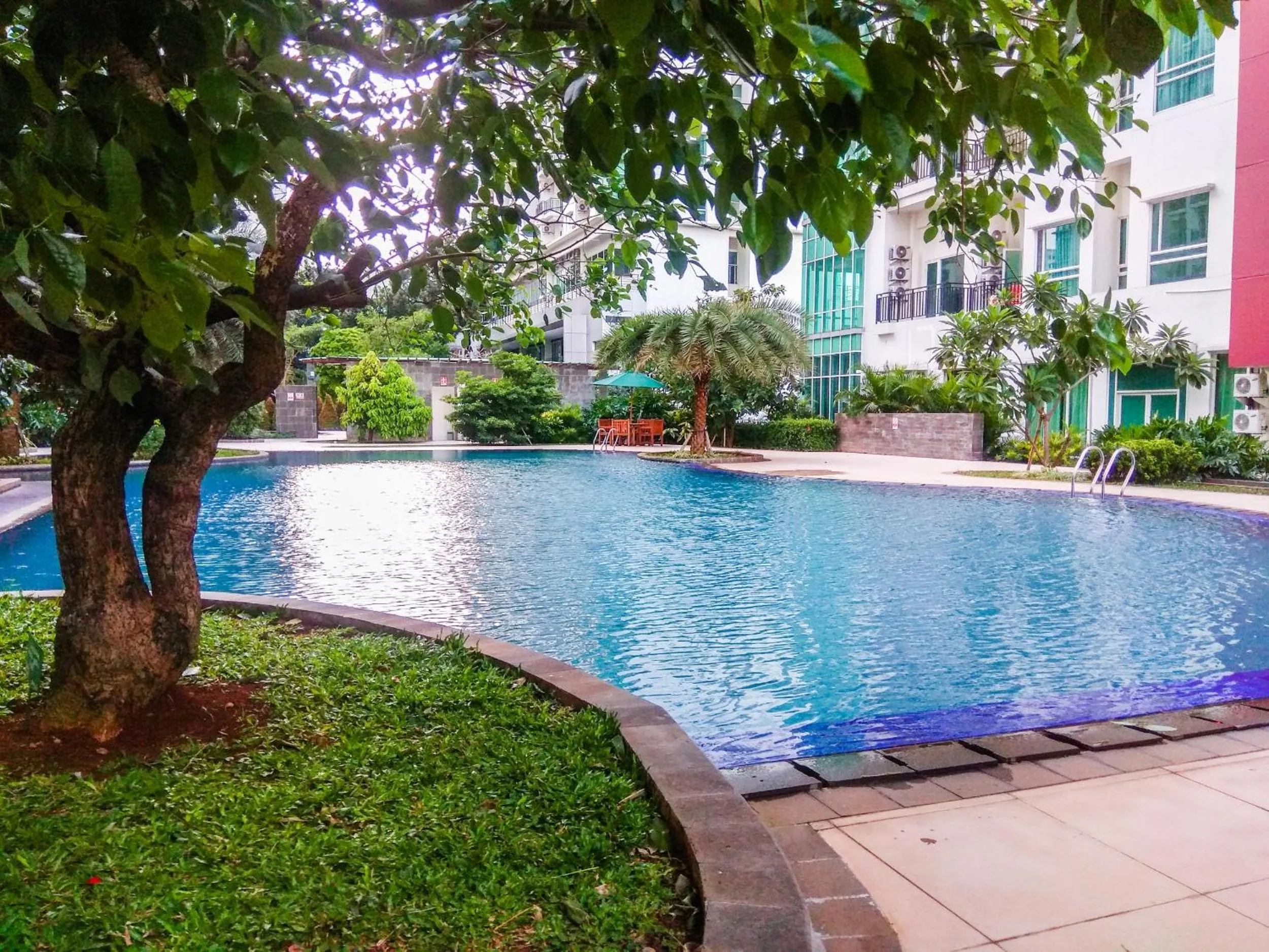 Swimming pool in Fully Furnished Apartment with Comfortable Design 1BR Woodland Park Residence By Travelio