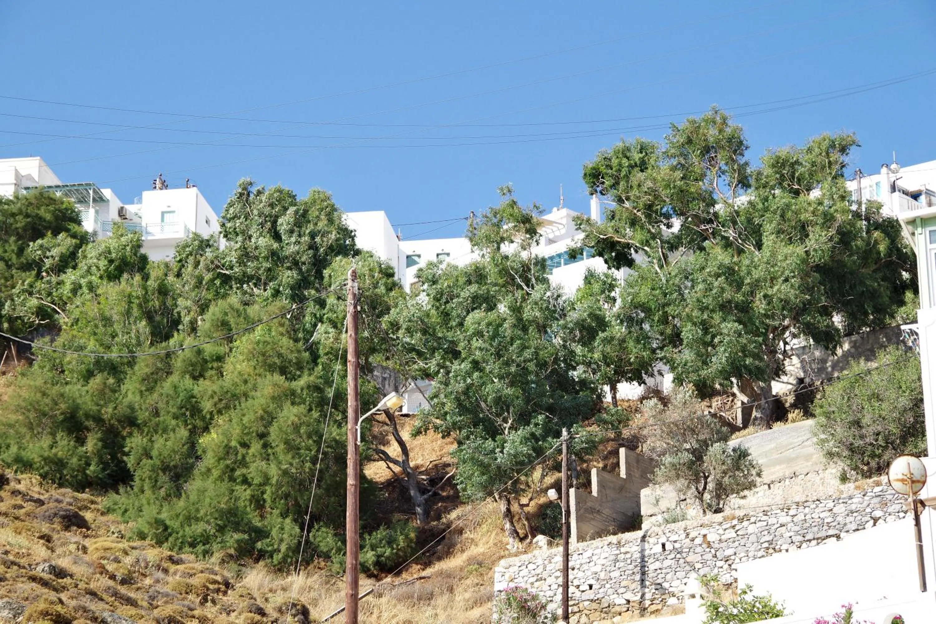 Mountain view in Xenios Zeus Apartments